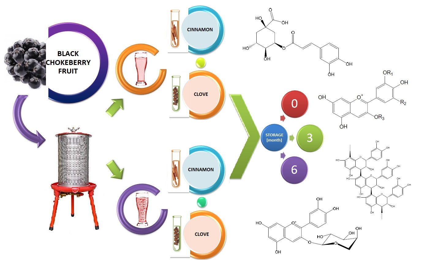 Antioxidants Free Full Text The Effect Of Plant Additives On The Stability Of Polyphenols In Cloudy And Clarified Juices From Black Chokeberry Aronia Melanocarpa Html