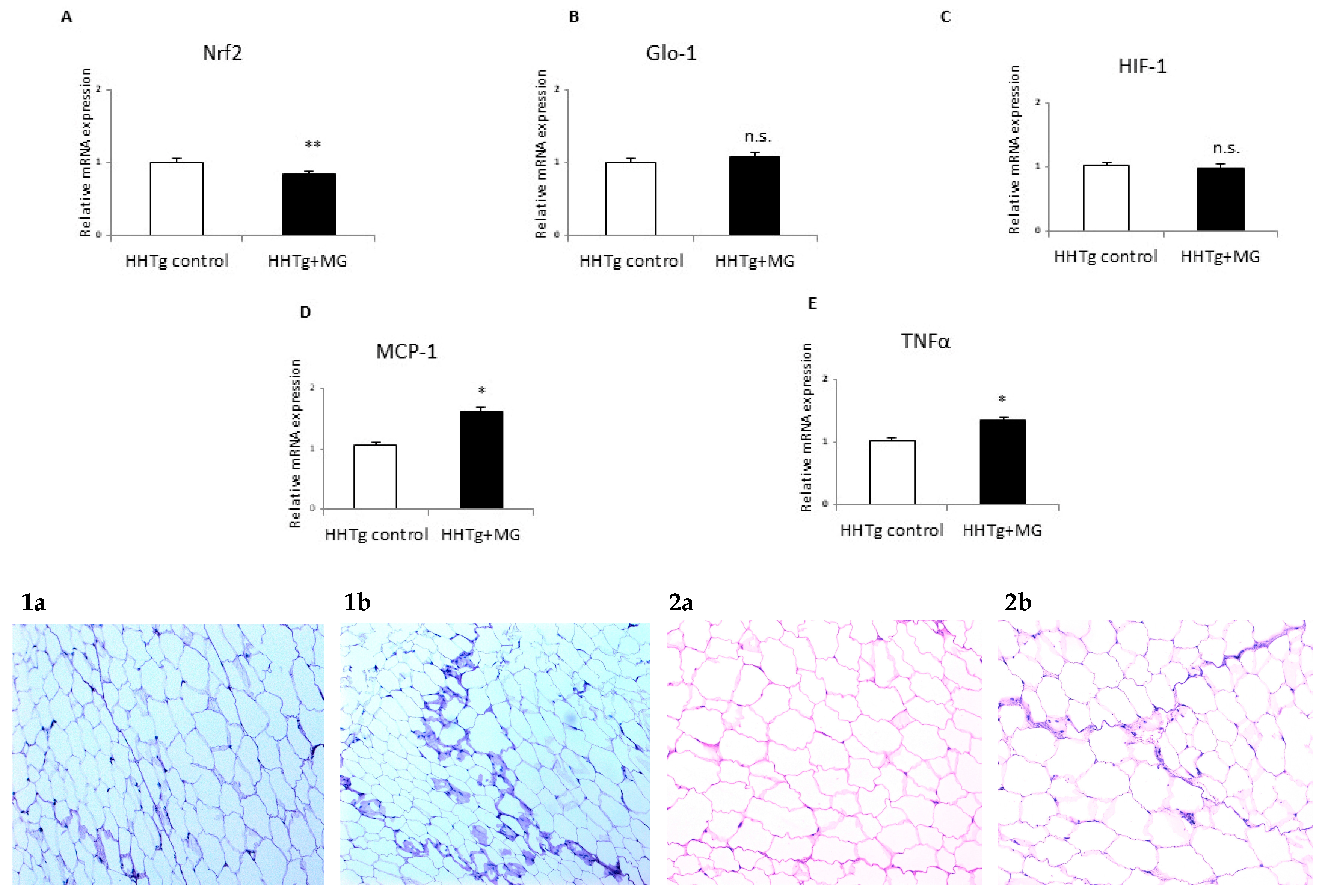 Antioxidants 09 00803 g002