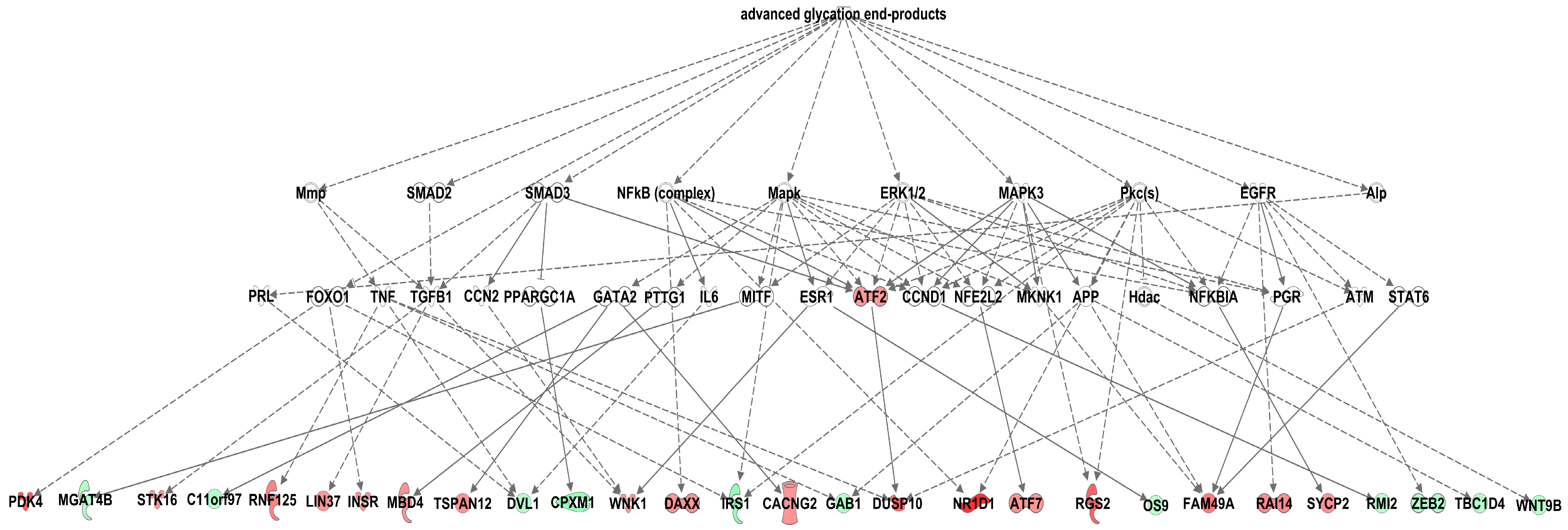 Antioxidants 09 00803 g004