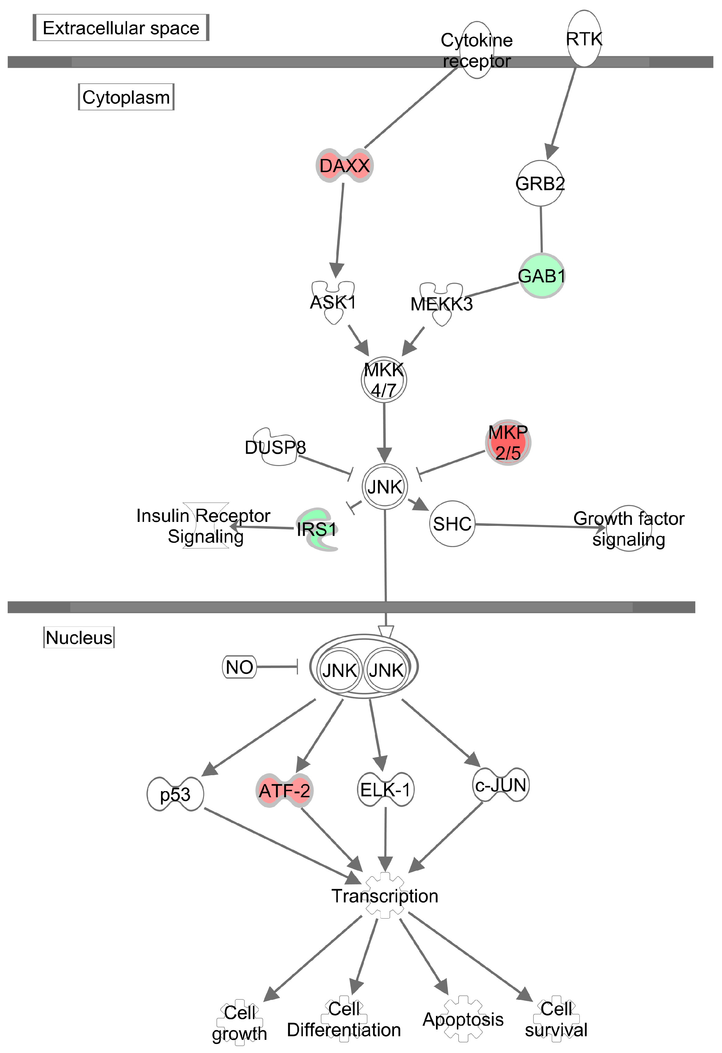 Antioxidants 09 00803 g005