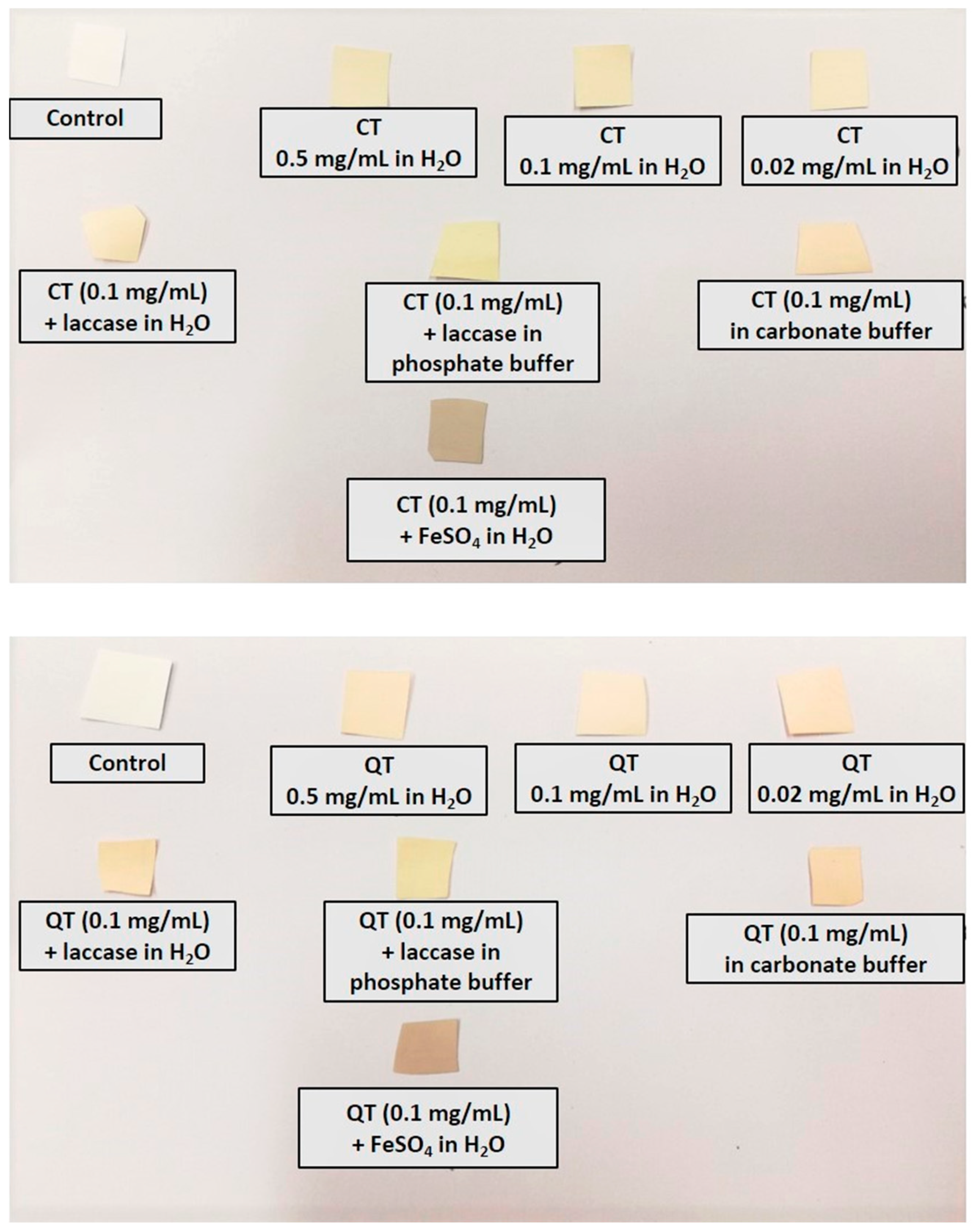 Antioxidants 09 00804 g003