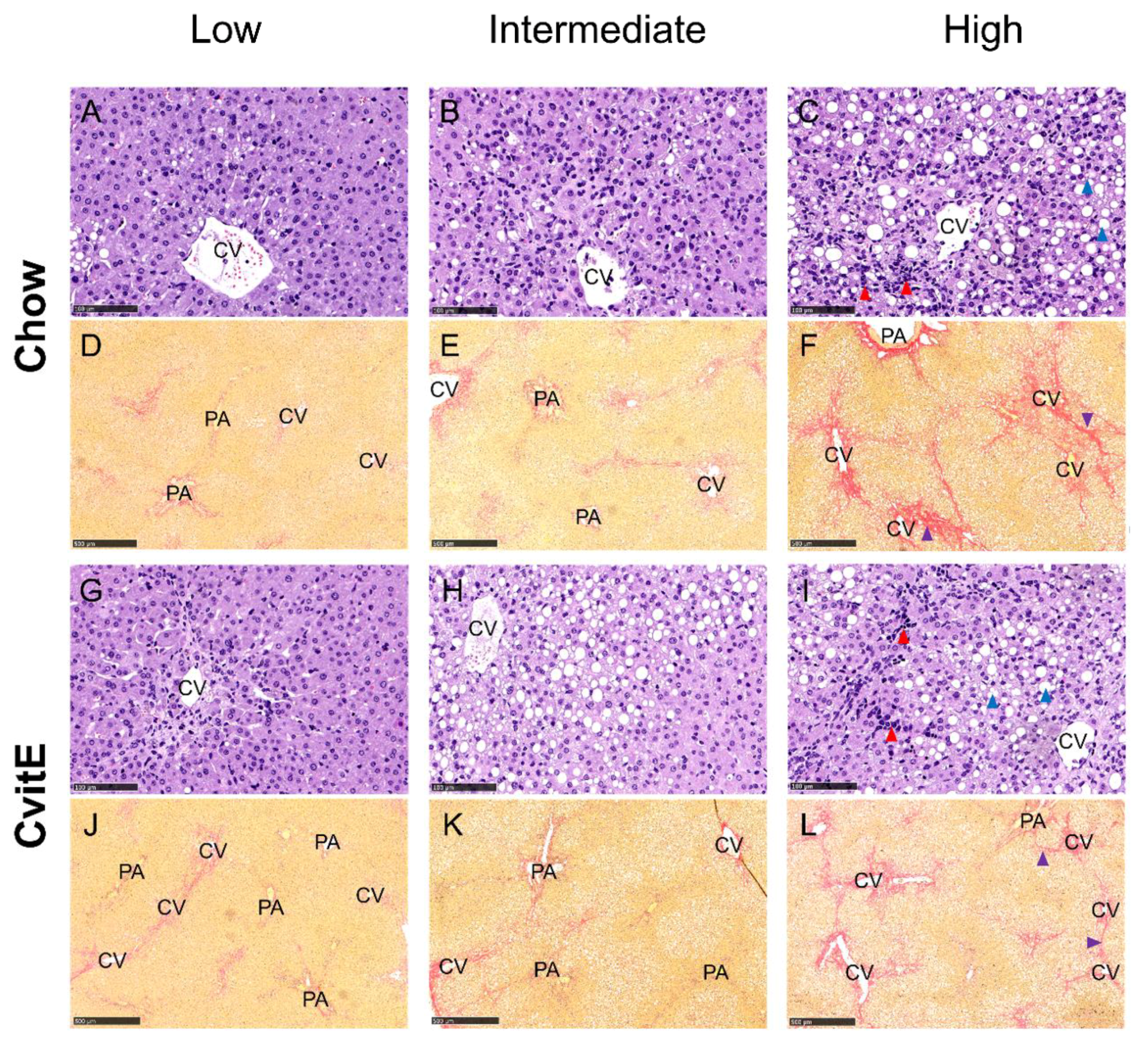 Antioxidants 09 00808 g005 Antioxidants 09 00808 g005