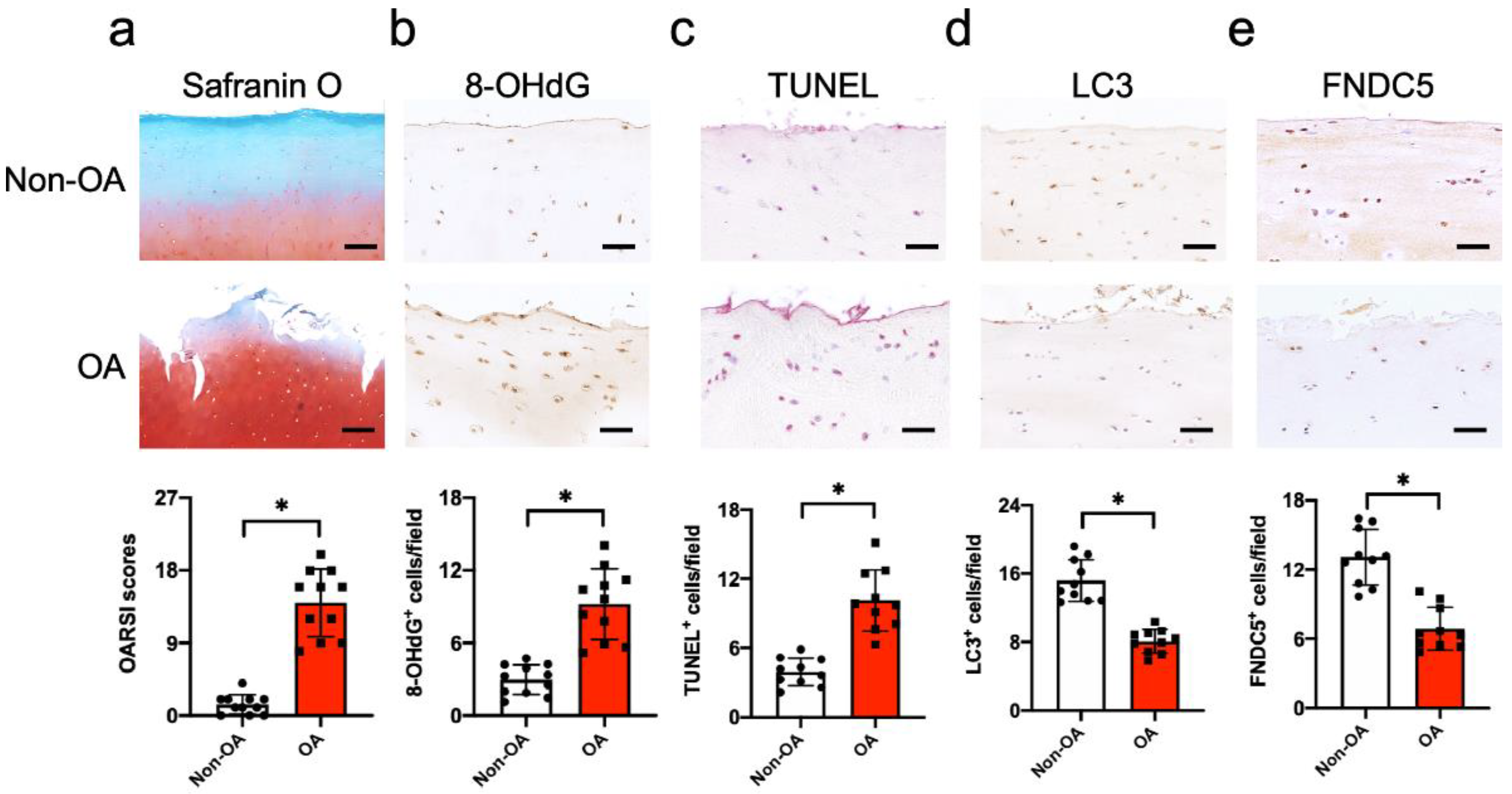 Antioxidants 09 00810 g001 Antioxidants 09 00810 g001