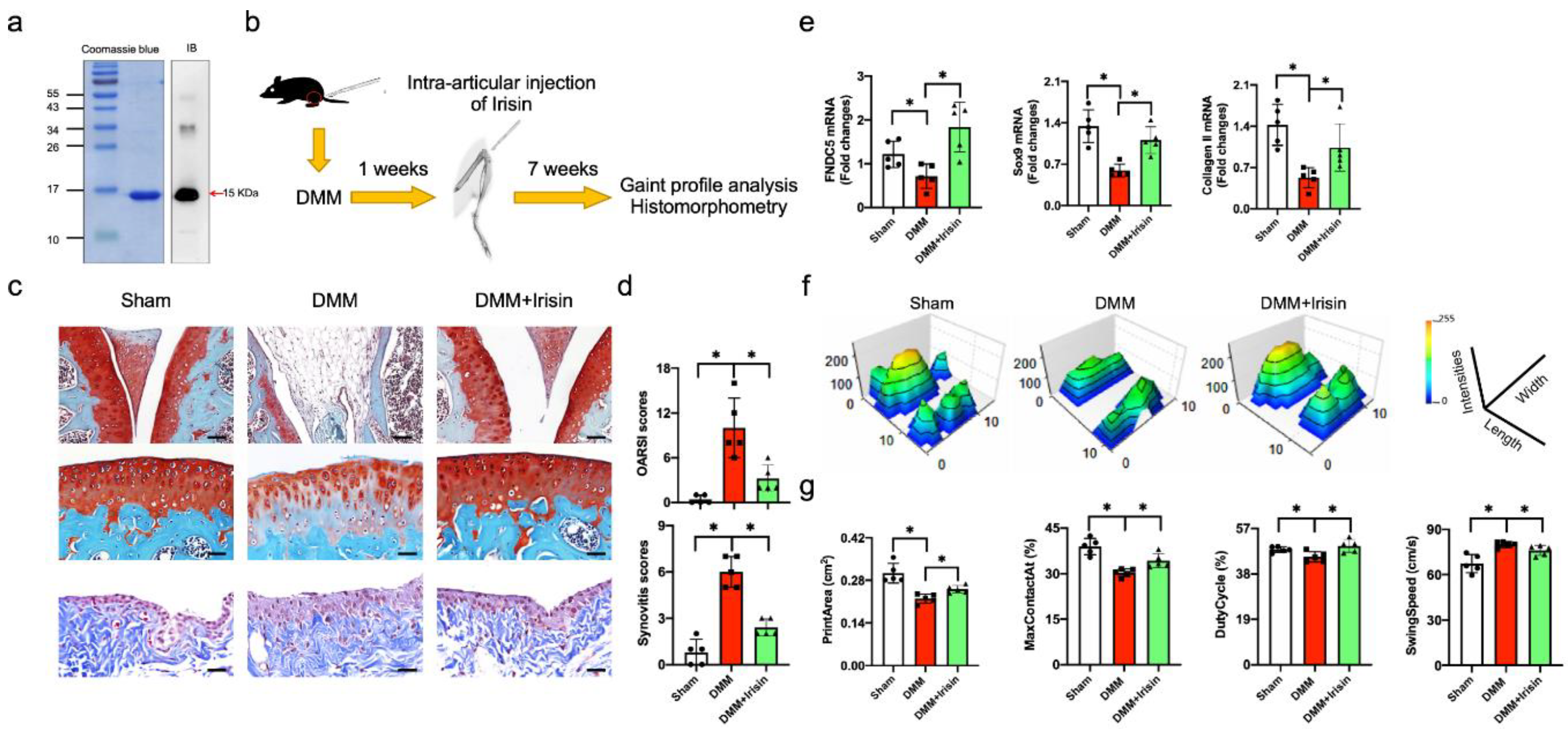 Antioxidants 09 00810 g002 Antioxidants 09 00810 g002