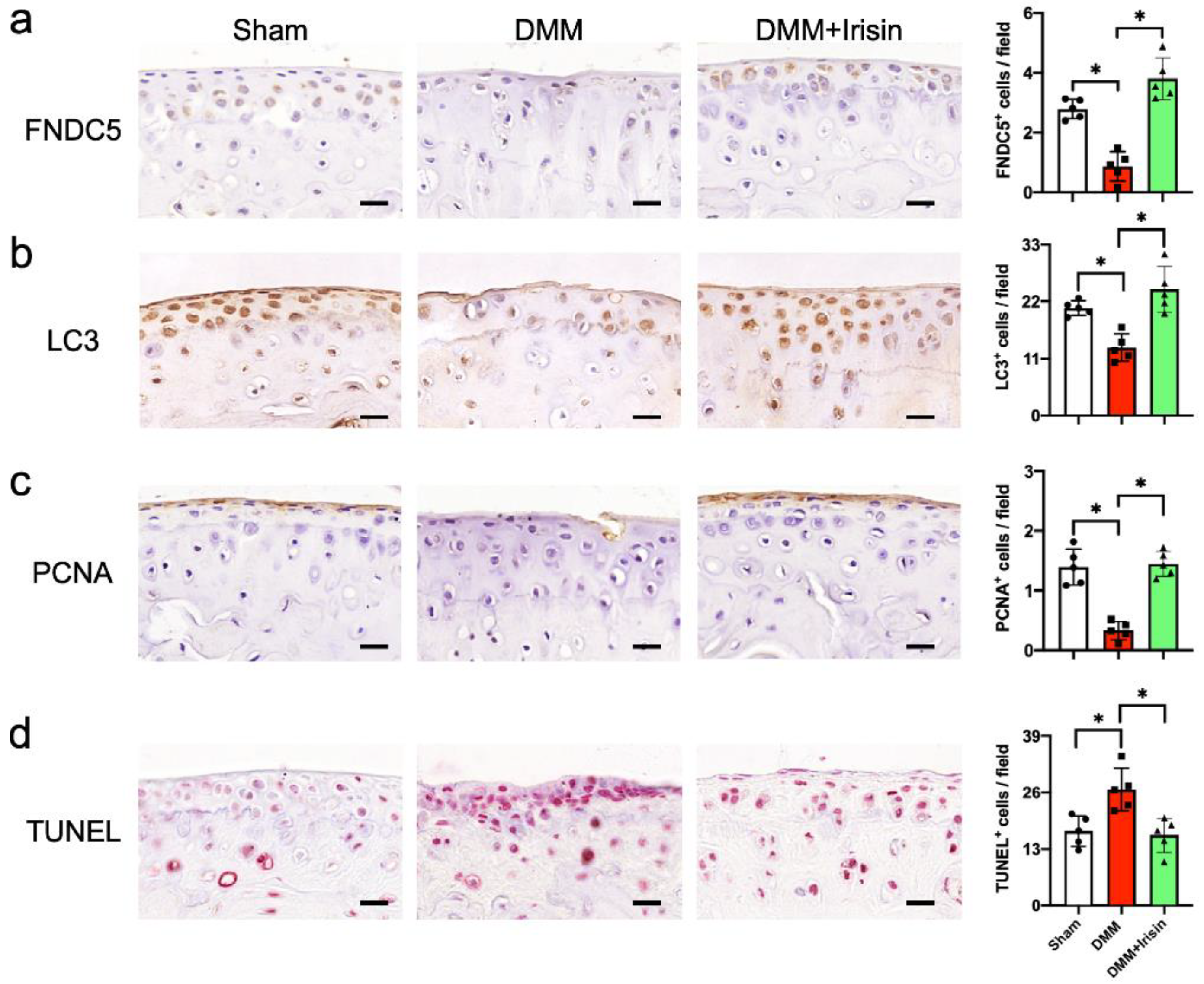 Antioxidants 09 00810 g003 Antioxidants 09 00810 g003