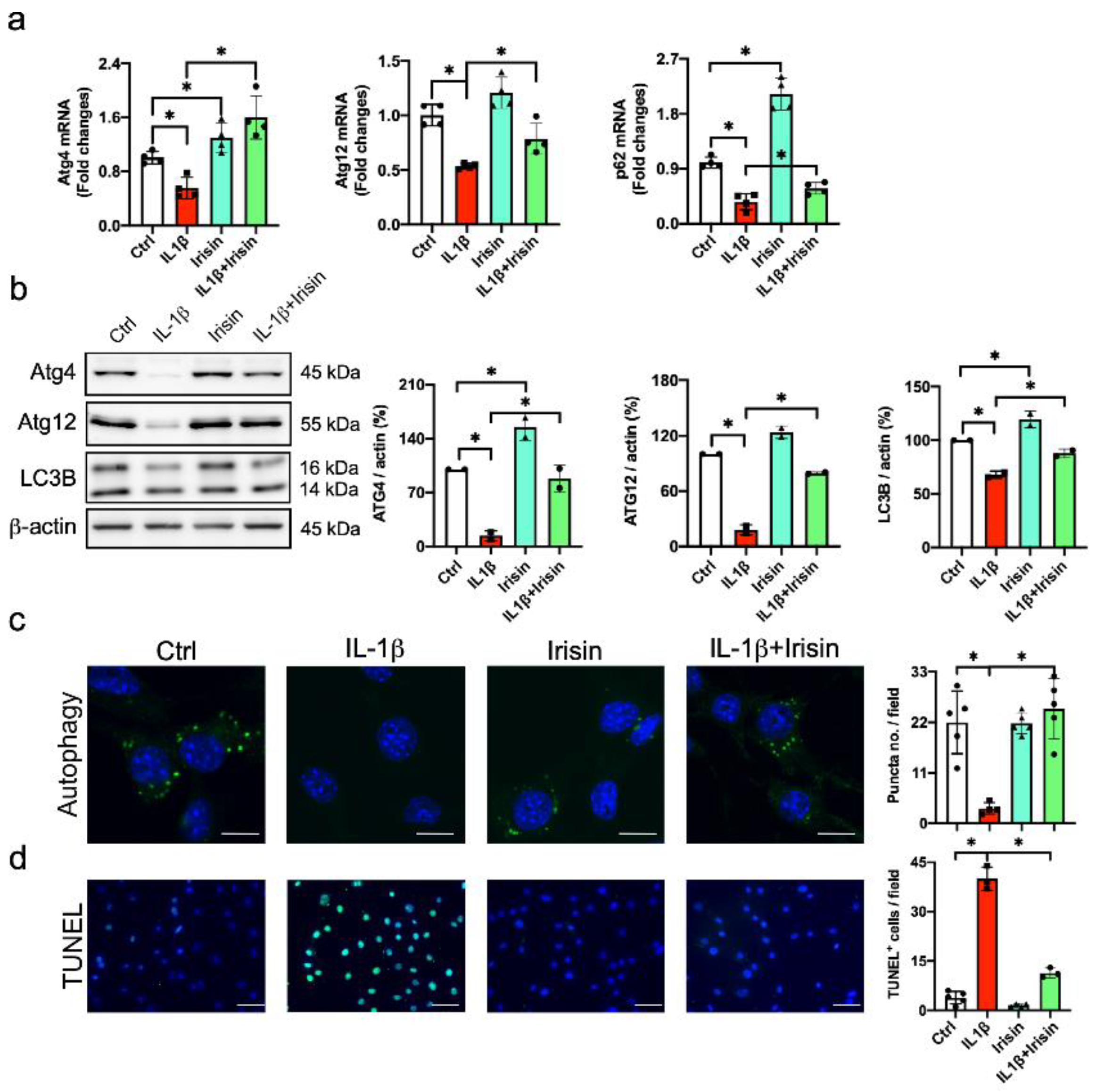 Antioxidants 09 00810 g005 Antioxidants 09 00810 g005