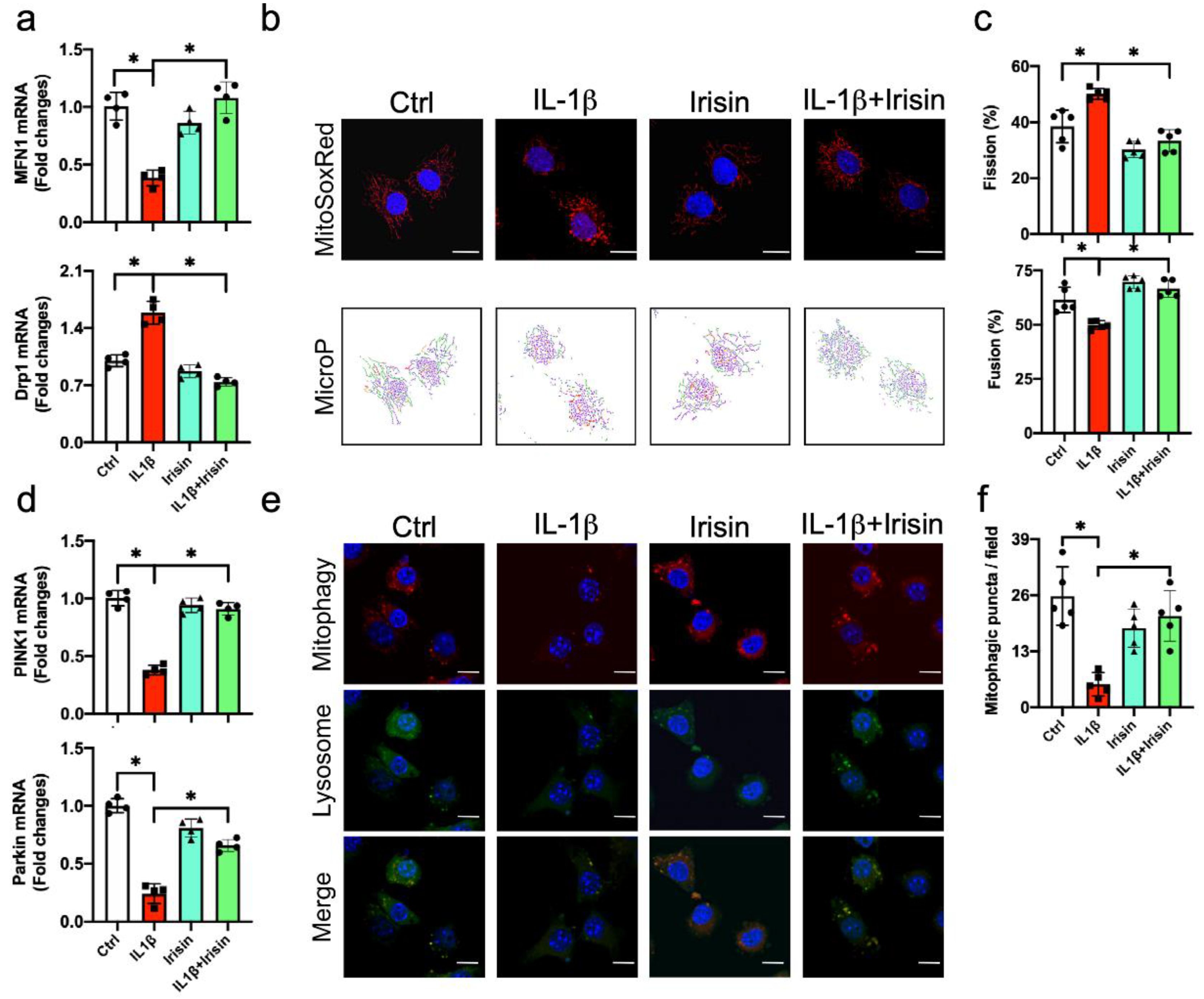 Antioxidants 09 00810 g006 Antioxidants 09 00810 g006
