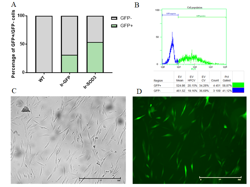 Antioxidants 09 00817 g001