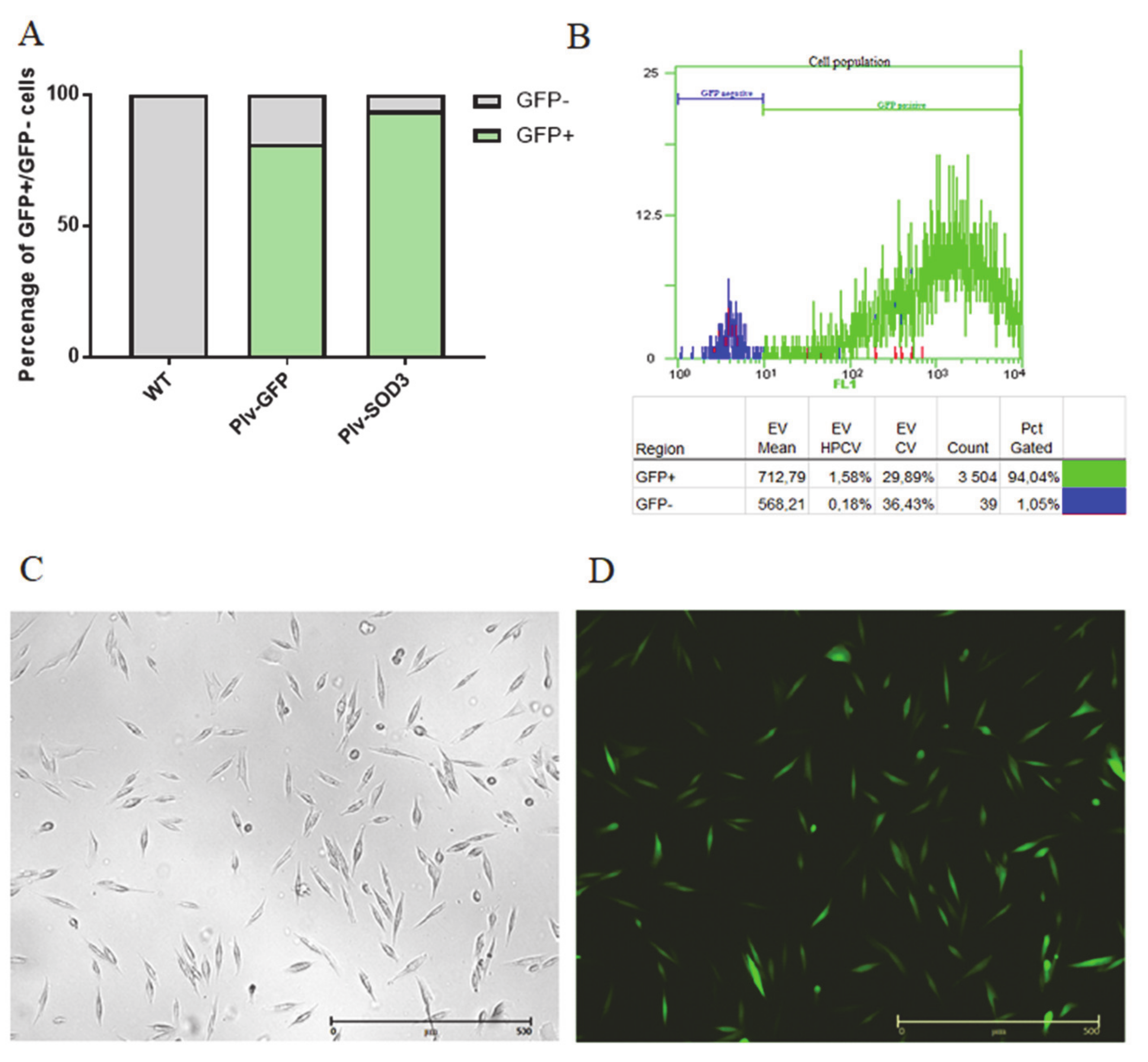 Antioxidants 09 00817 g002