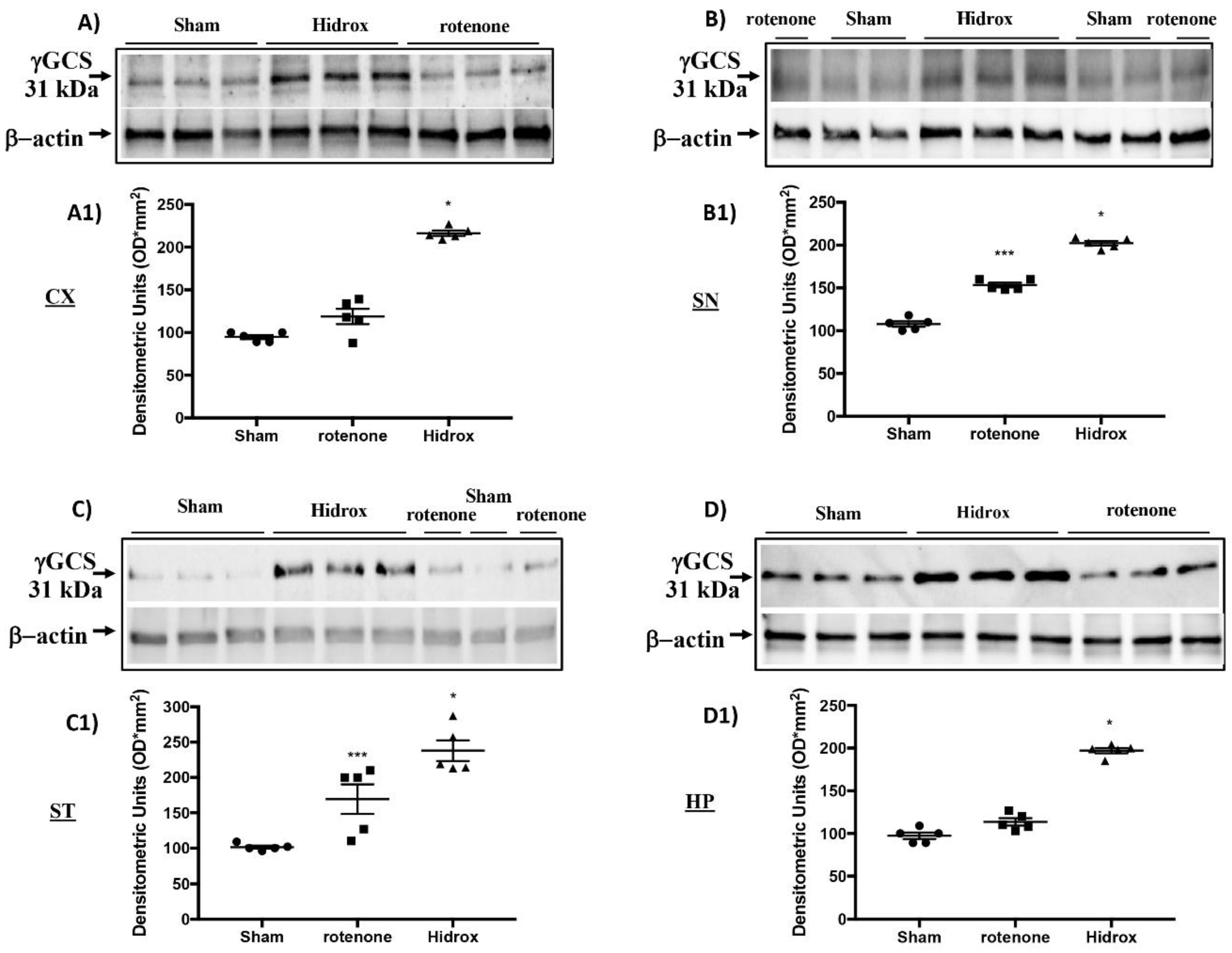 Antioxidants Free Full Text Anti Inflammatory And Anti Oxidant Activity Of Hidrox In Rotenone Induced Parkinson S Disease In Mice Html Antioxidants Free Full Text Anti Inflammatory And Anti Oxidant Activity Of Hidrox In Rotenone Induced Parkinson S Disease In Mice Html