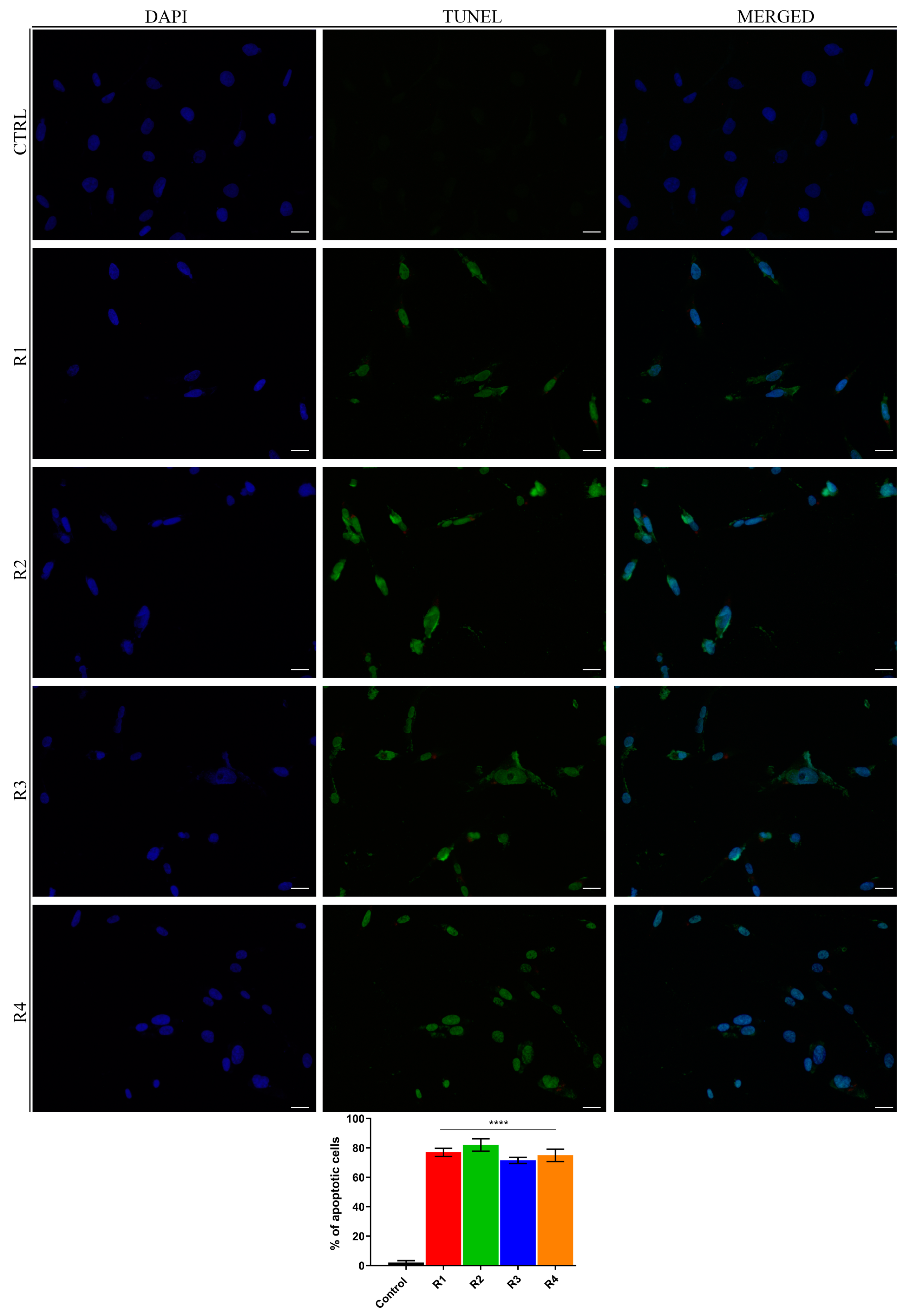 Antioxidants 09 00826 g004 Antioxidants 09 00826 g004