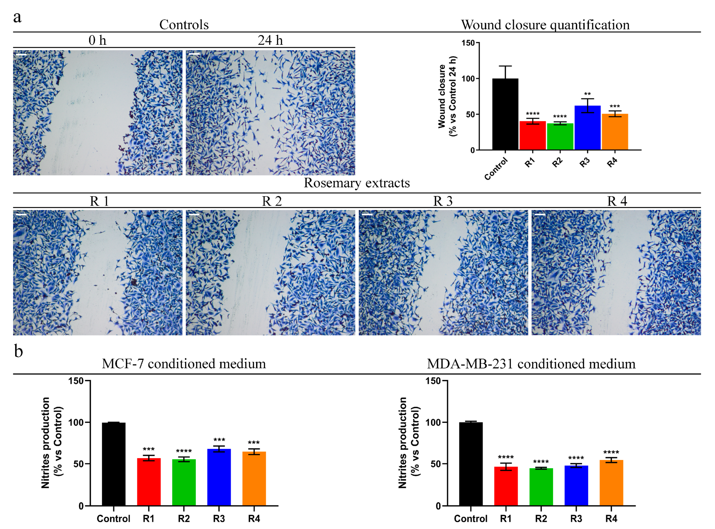 Antioxidants 09 00826 g005 Antioxidants 09 00826 g005
