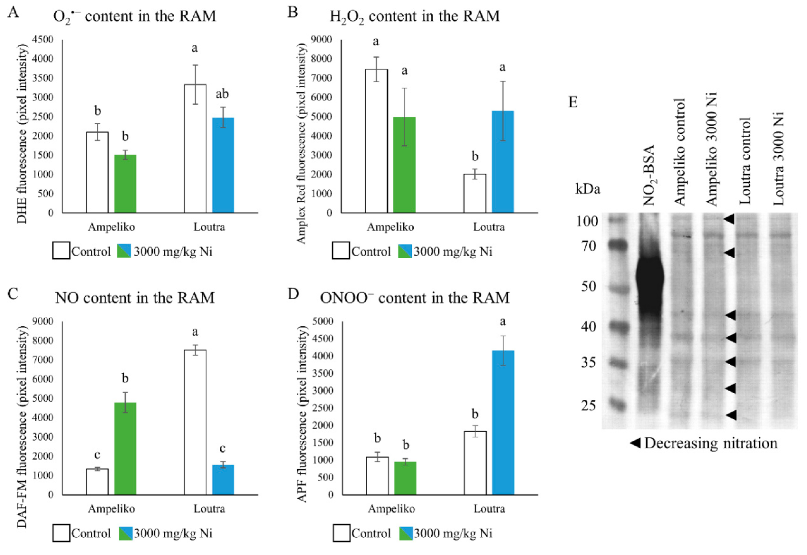Antioxidants 09 00837 g003