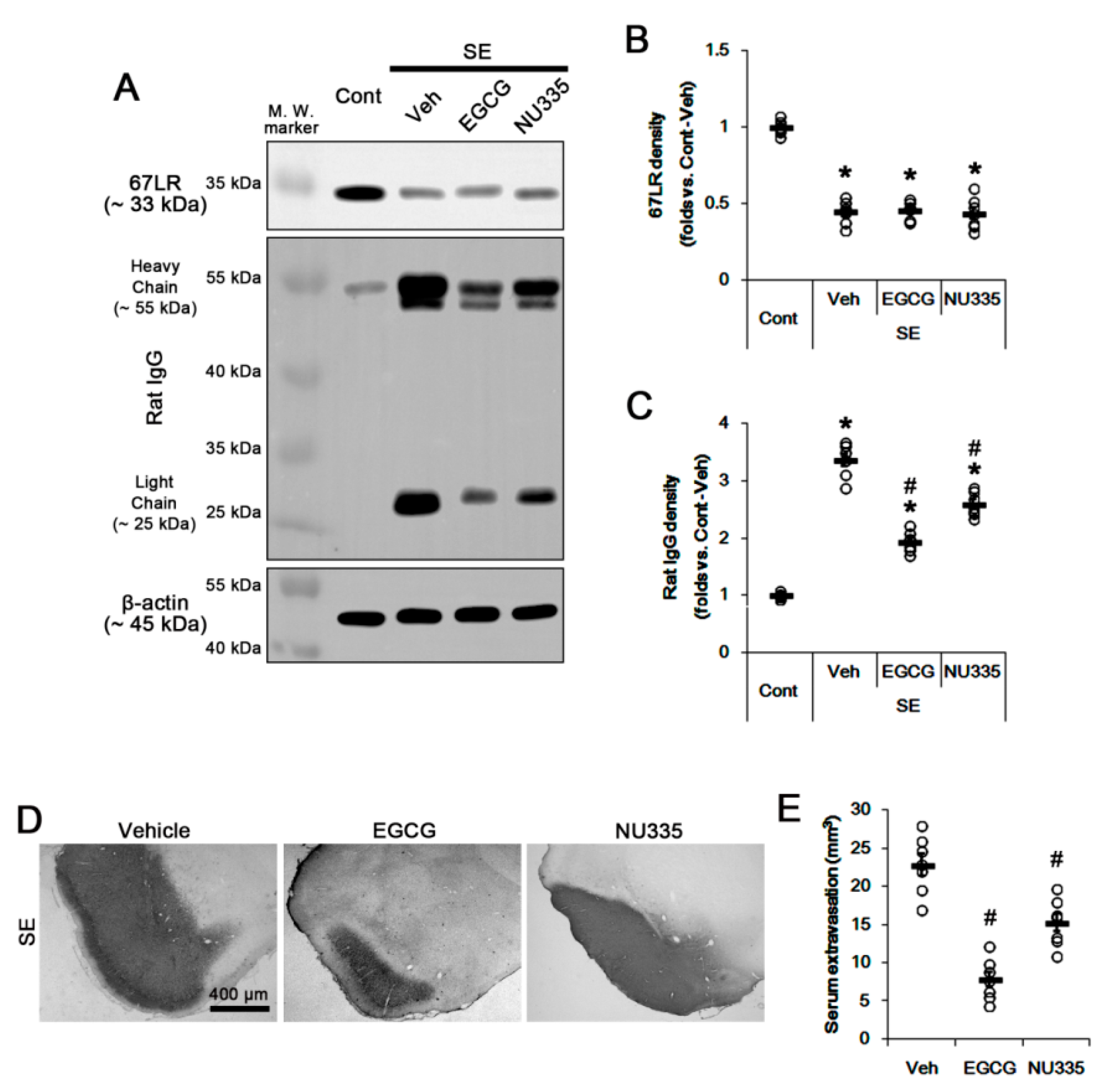 Antioxidants 09 00854 g002 Antioxidants 09 00854 g002