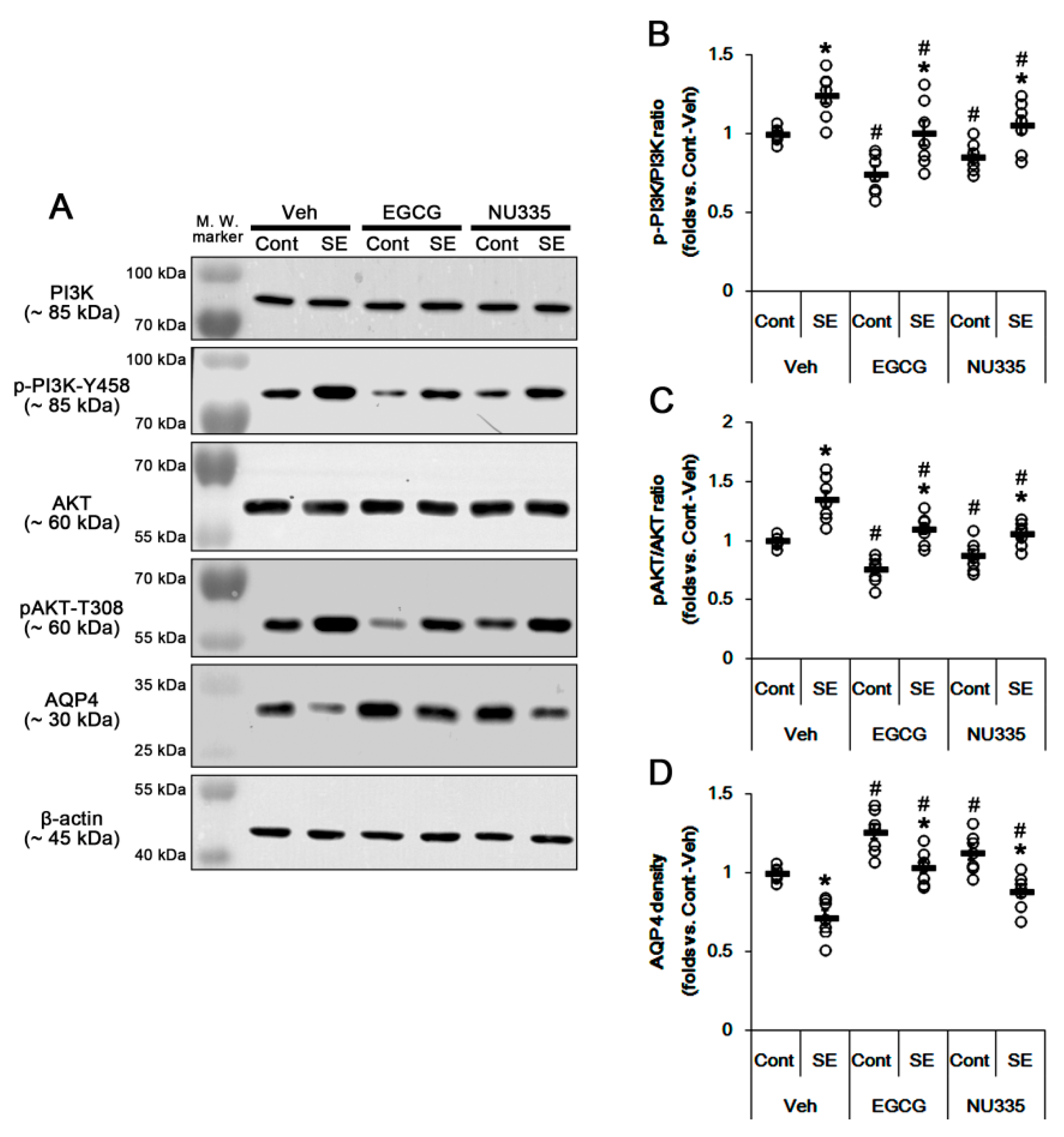 Antioxidants 09 00854 g006 Antioxidants 09 00854 g006