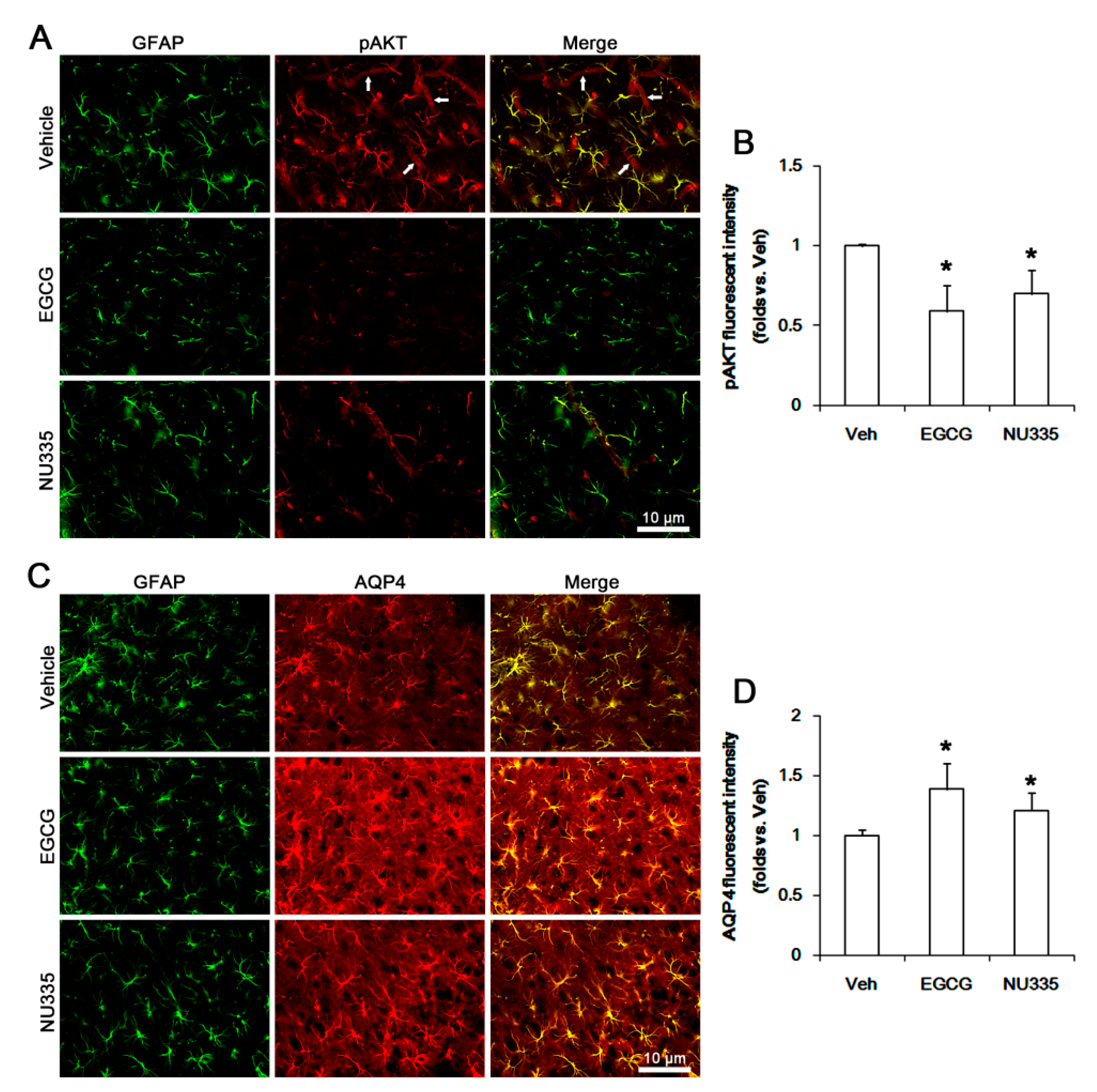 Antioxidants 09 00854 g007 Antioxidants 09 00854 g007