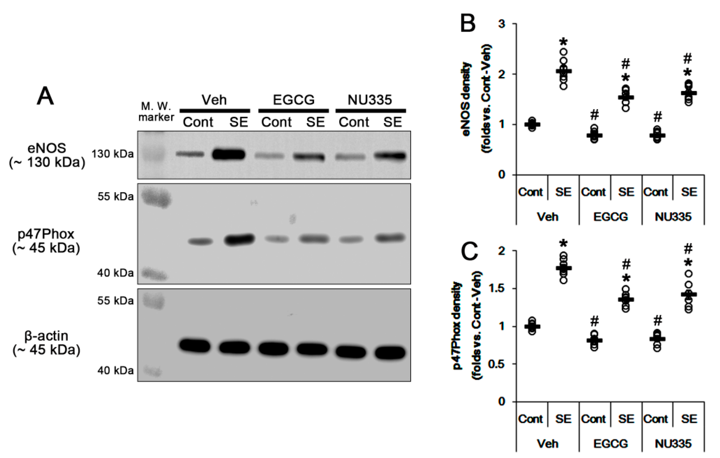 Antioxidants 09 00854 g008 Antioxidants 09 00854 g008
