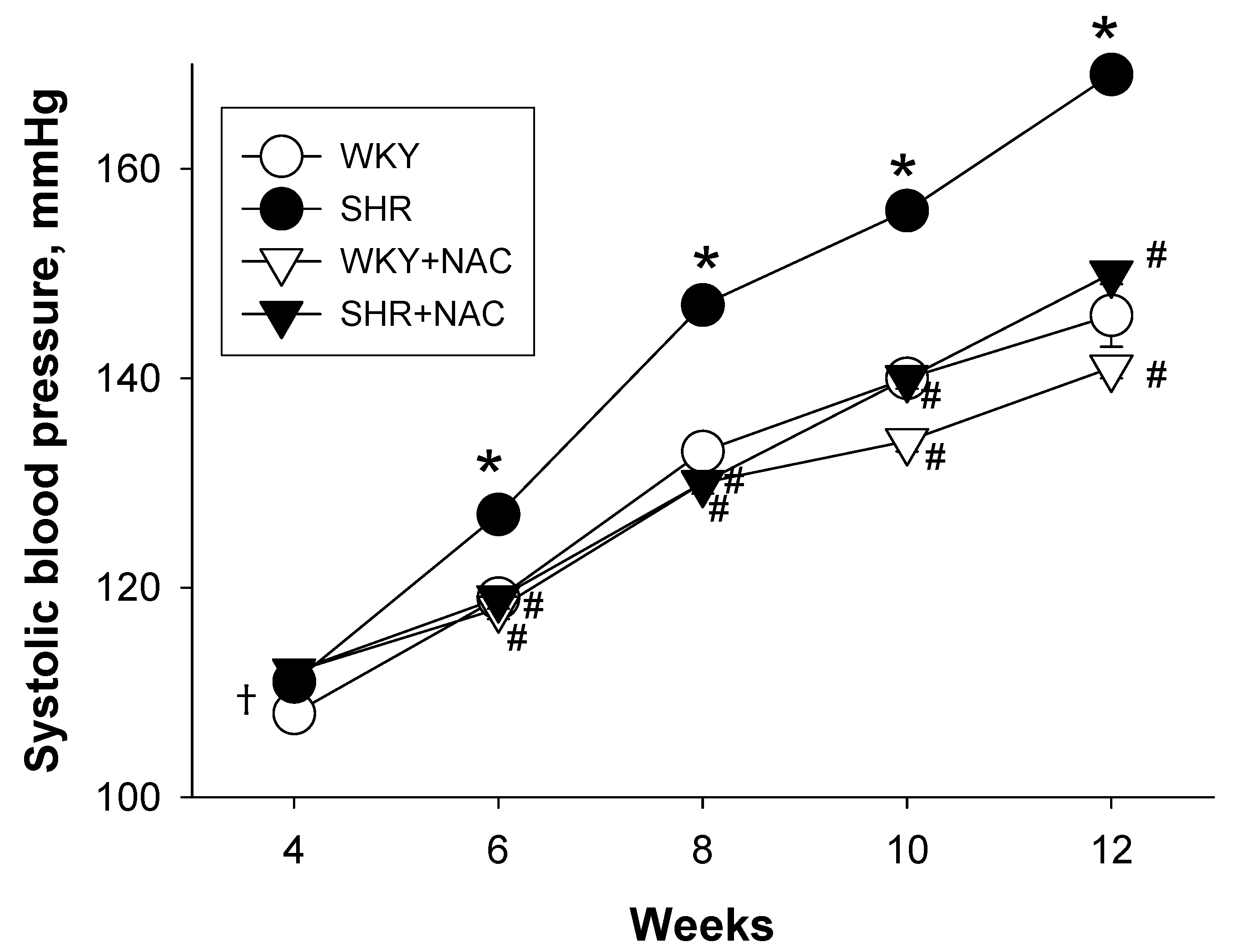Antioxidants 09 00856 g001 Antioxidants 09 00856 g001