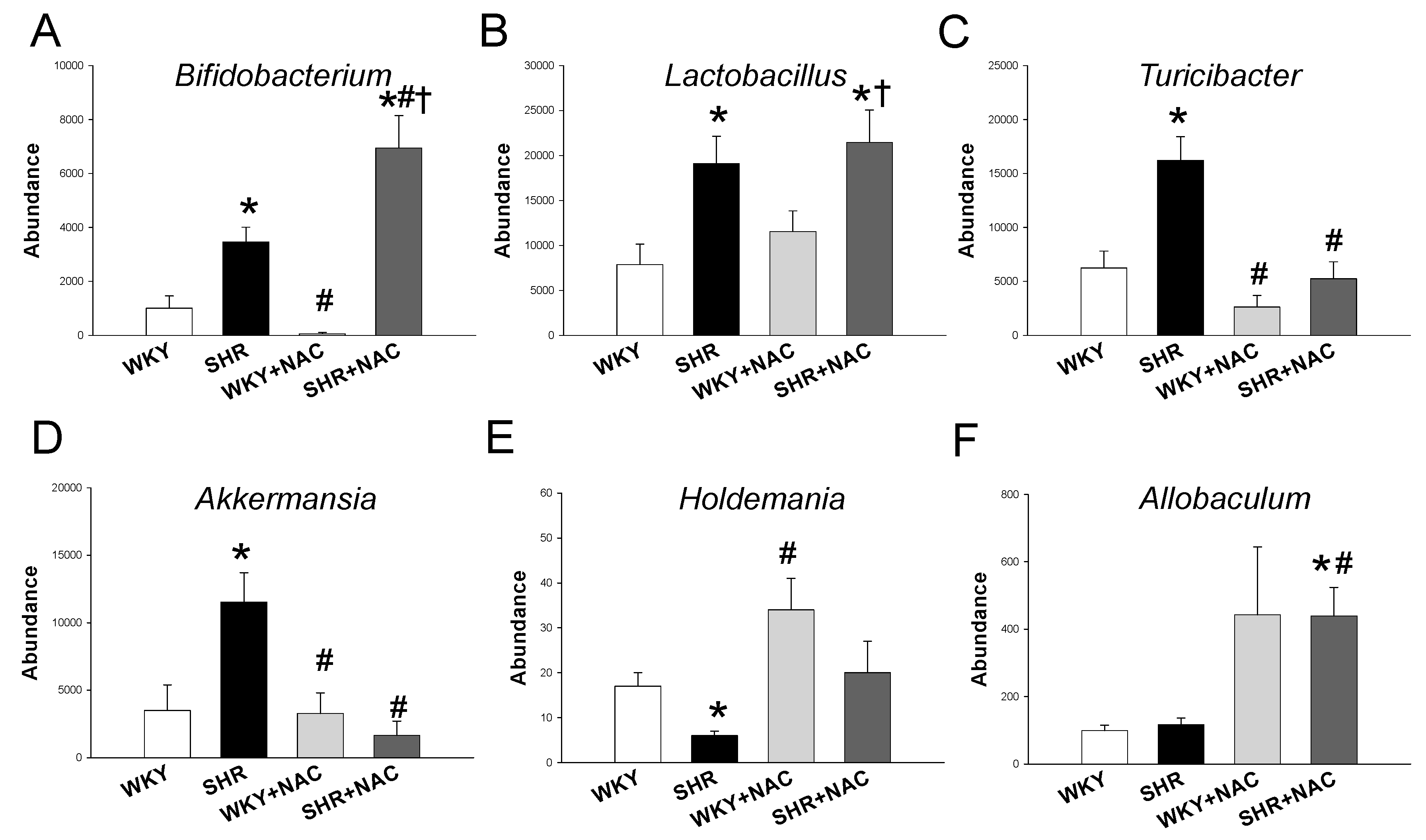 Antioxidants 09 00856 g006 Antioxidants 09 00856 g006