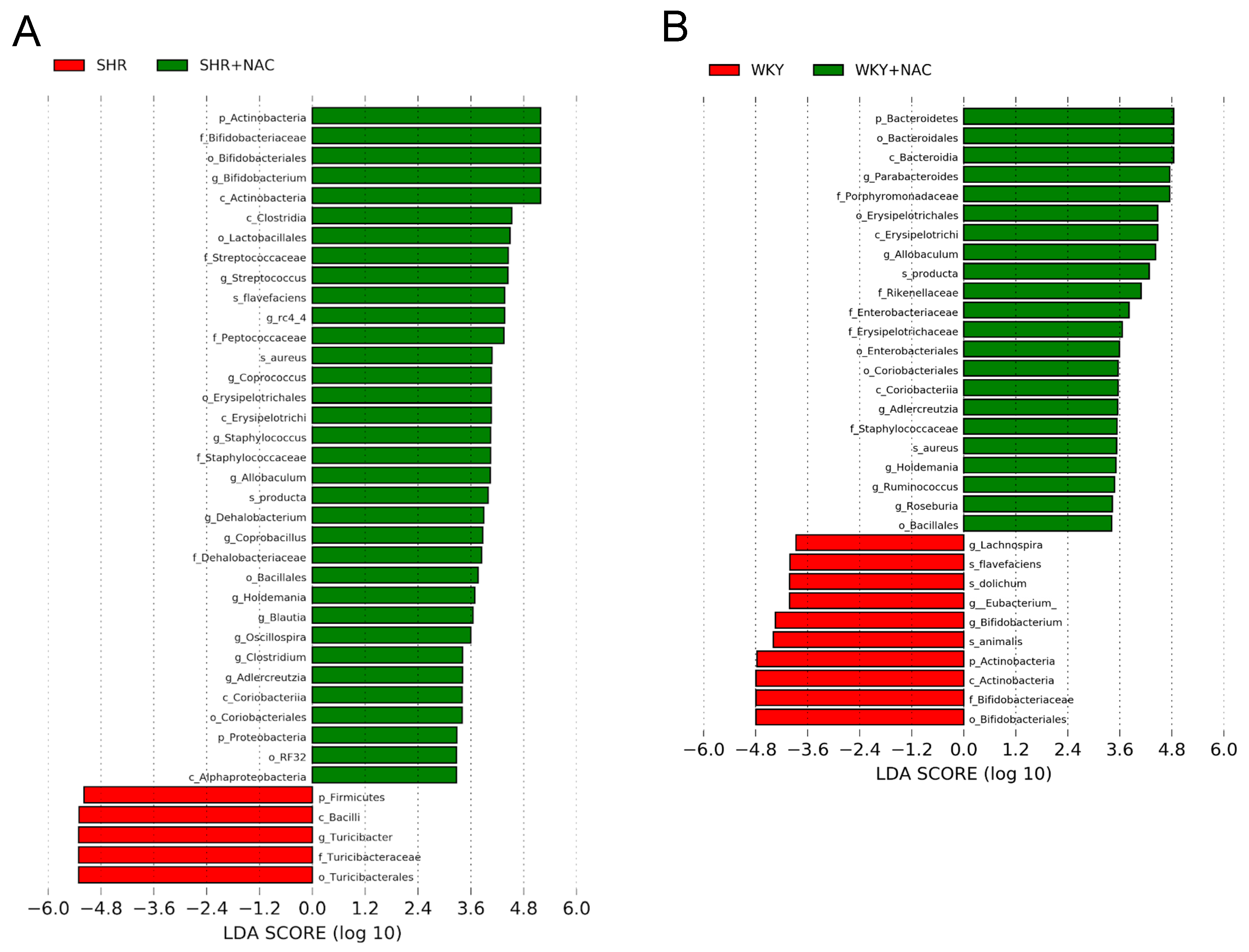 Antioxidants 09 00856 g007 Antioxidants 09 00856 g007