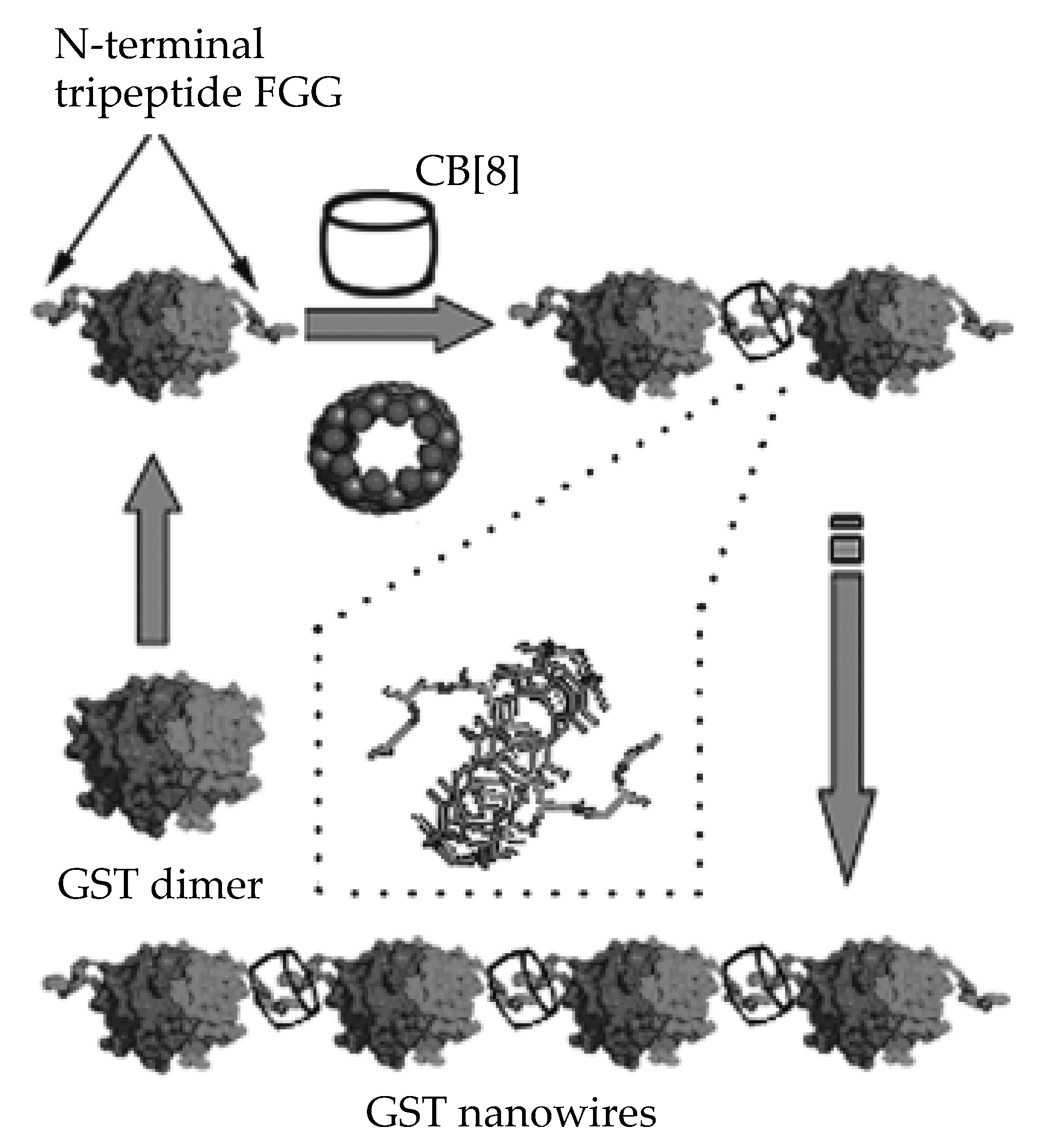 Antioxidants 09 00859 g010