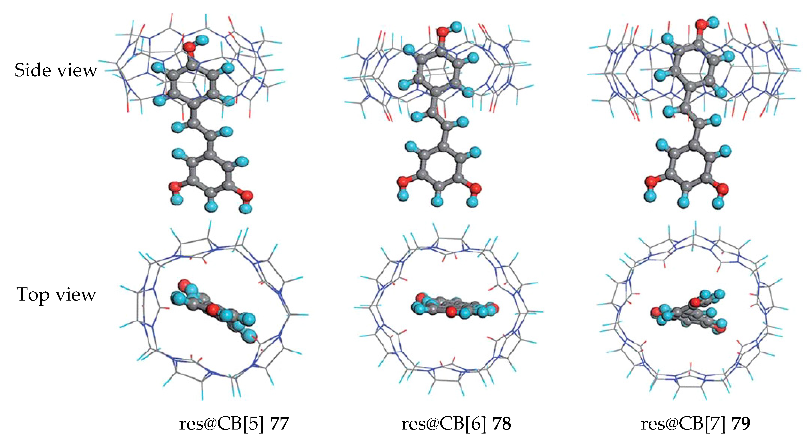 Antioxidants 09 00859 g011