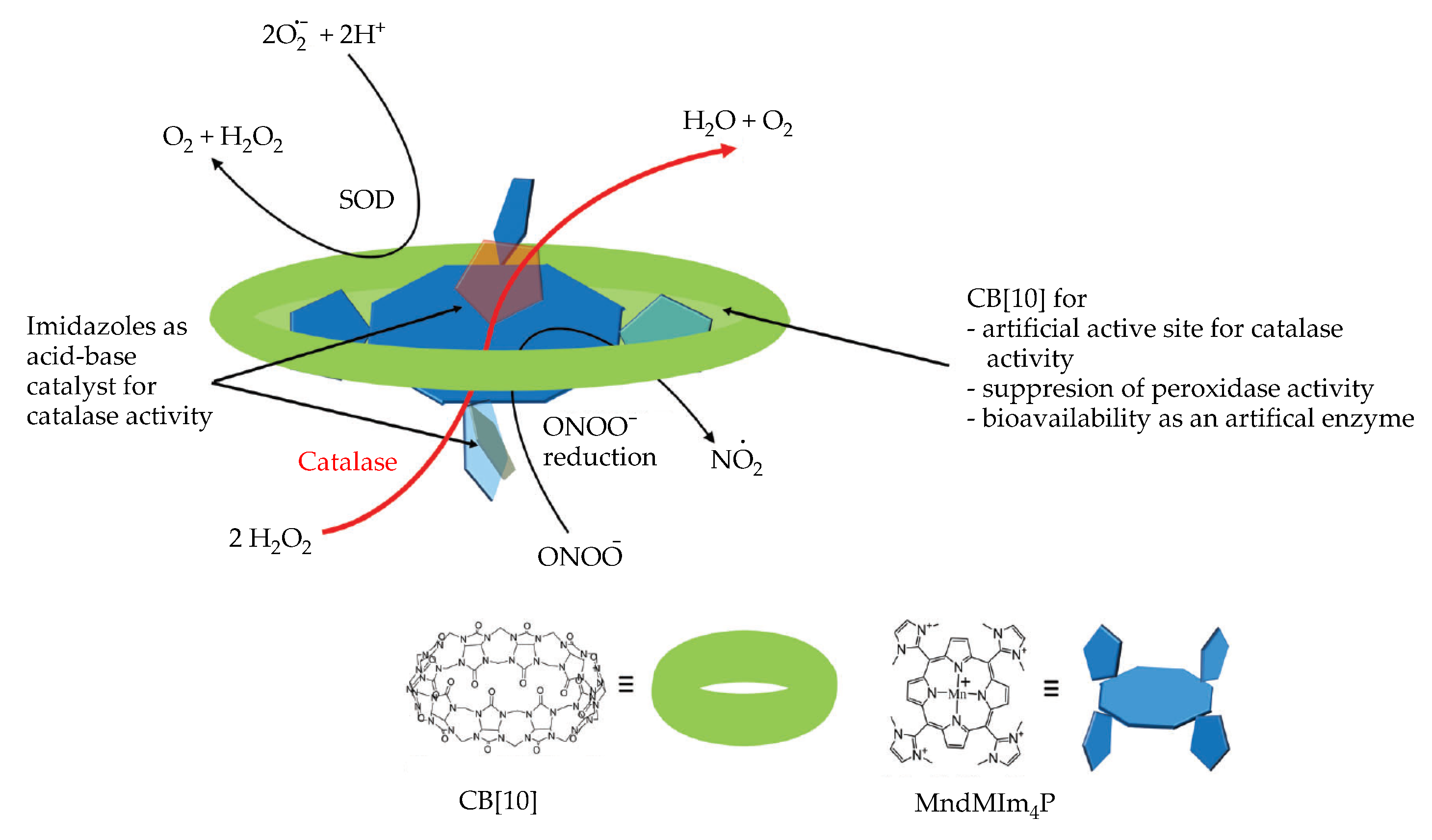 Antioxidants 09 00859 g012