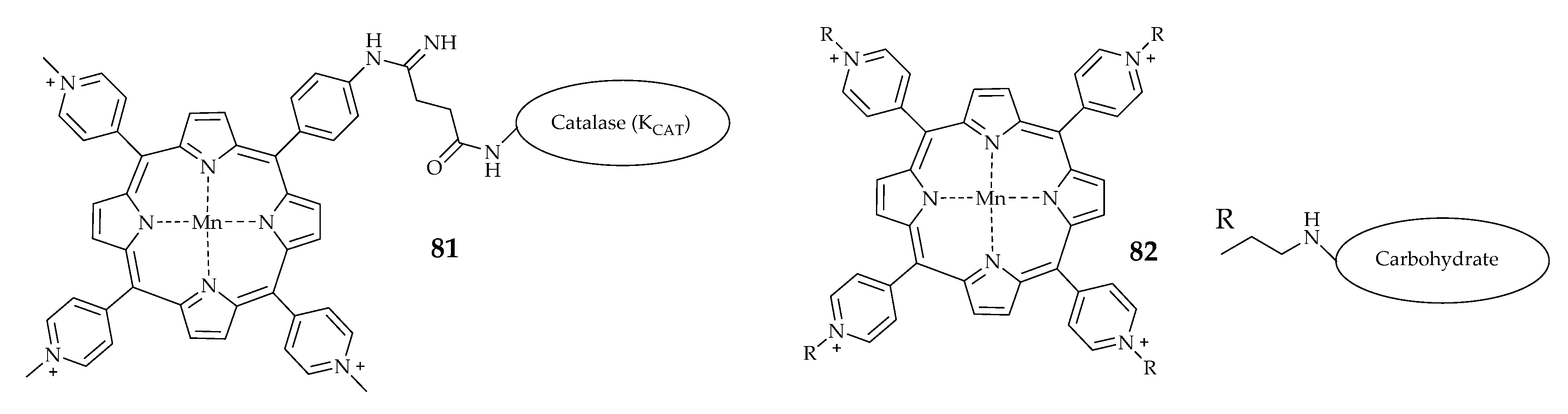 Antioxidants 09 00859 g013