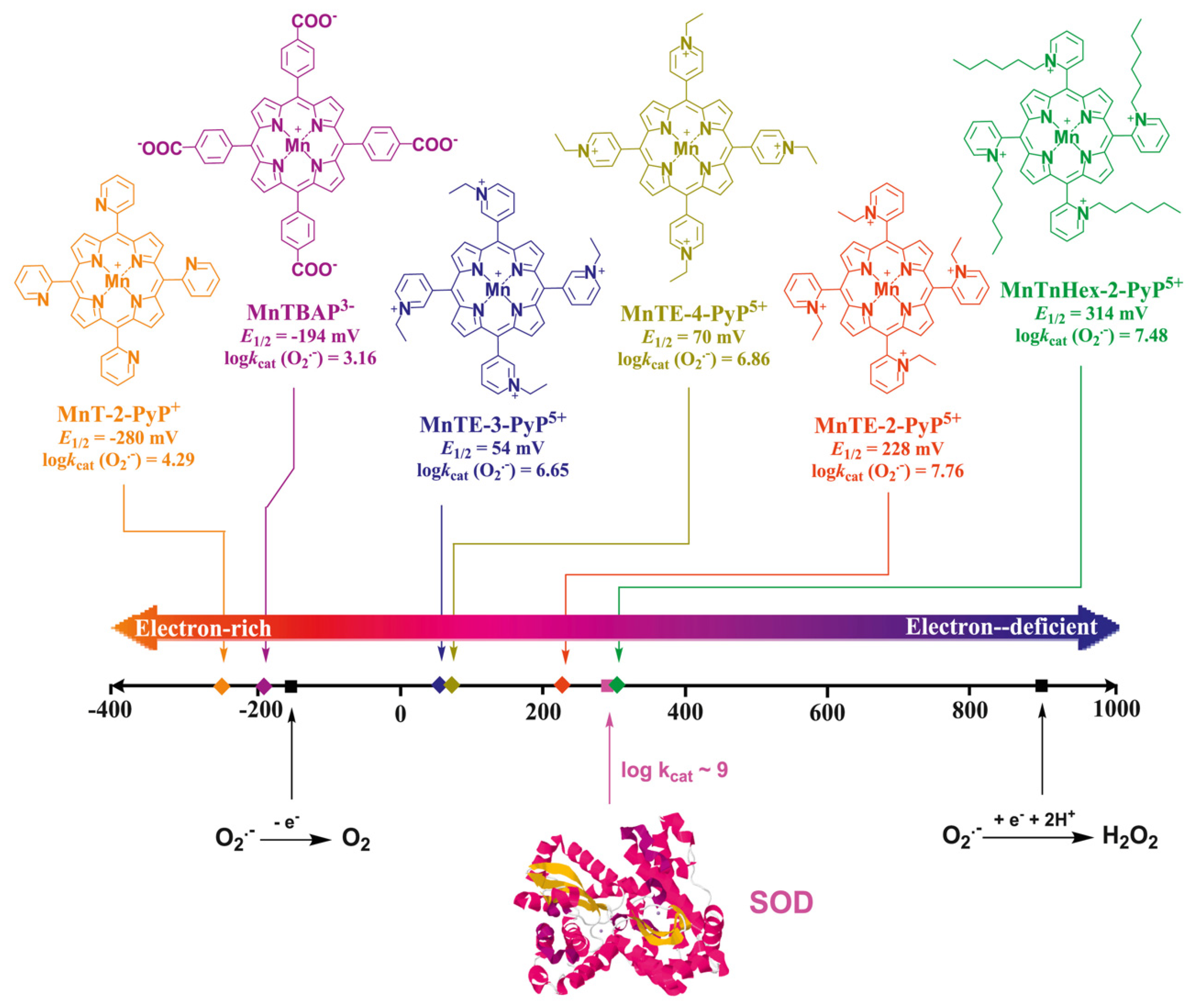 Antioxidants 09 00859 g015