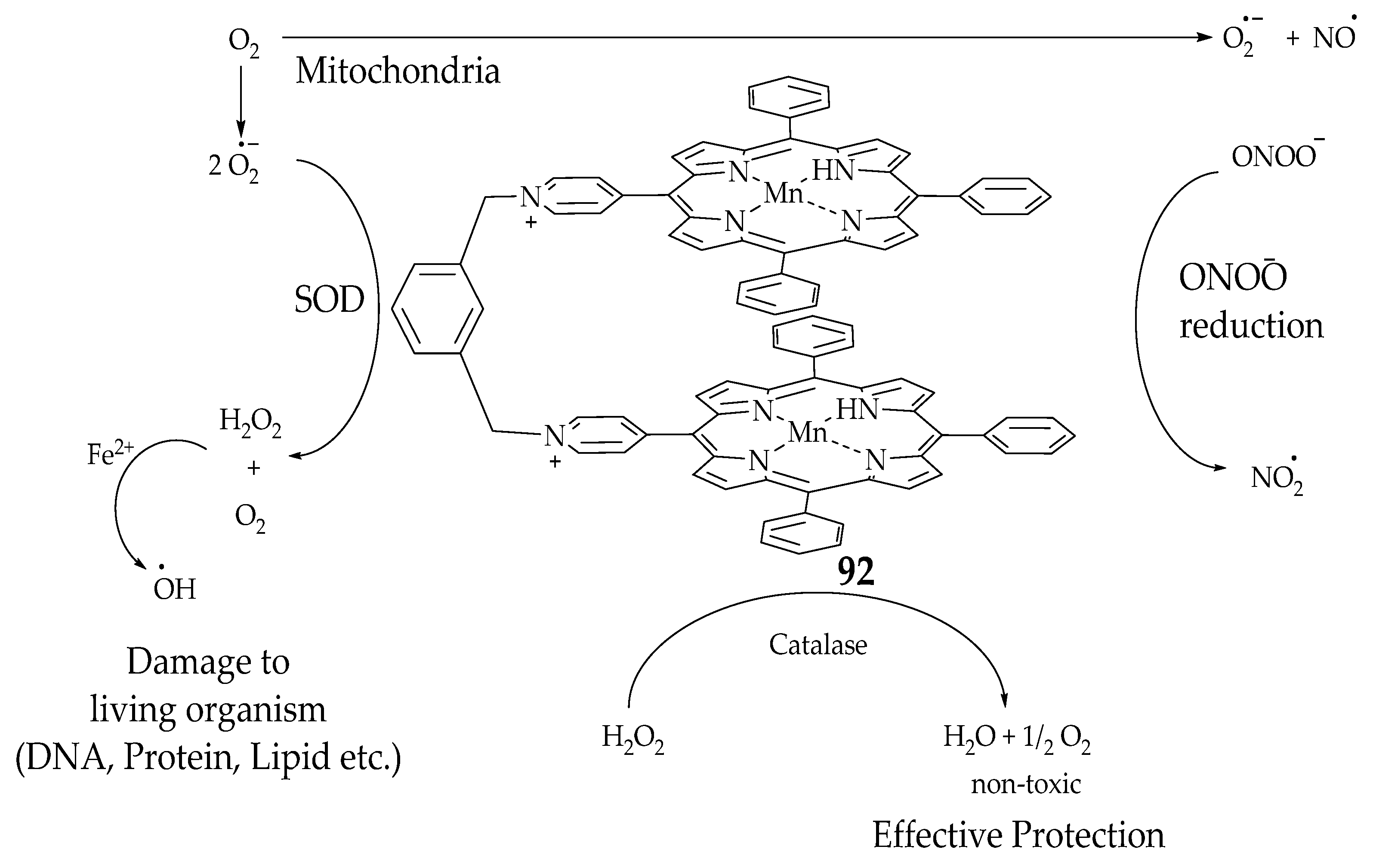 Antioxidants 09 00859 sch010