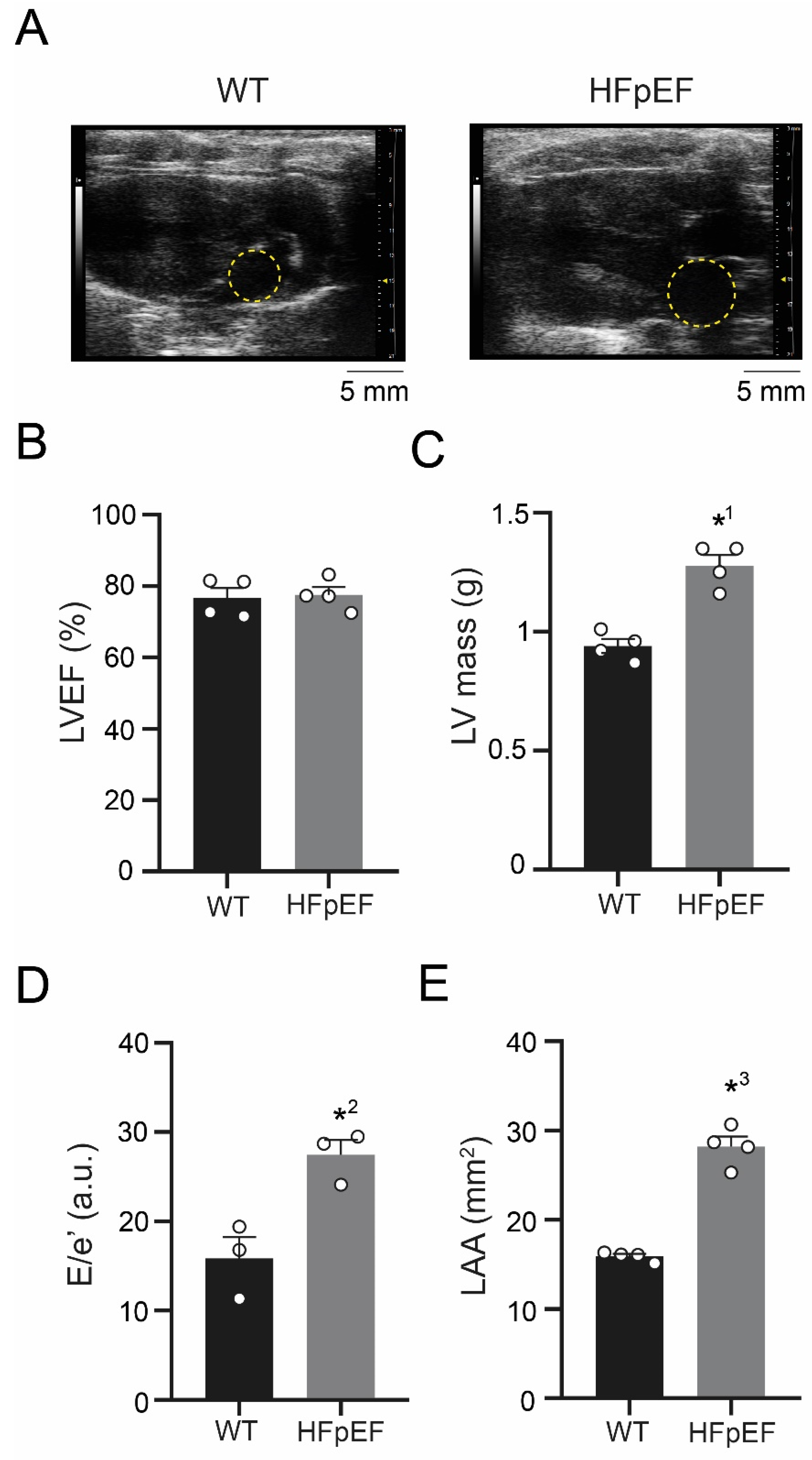 Antioxidants 09 00860 g001