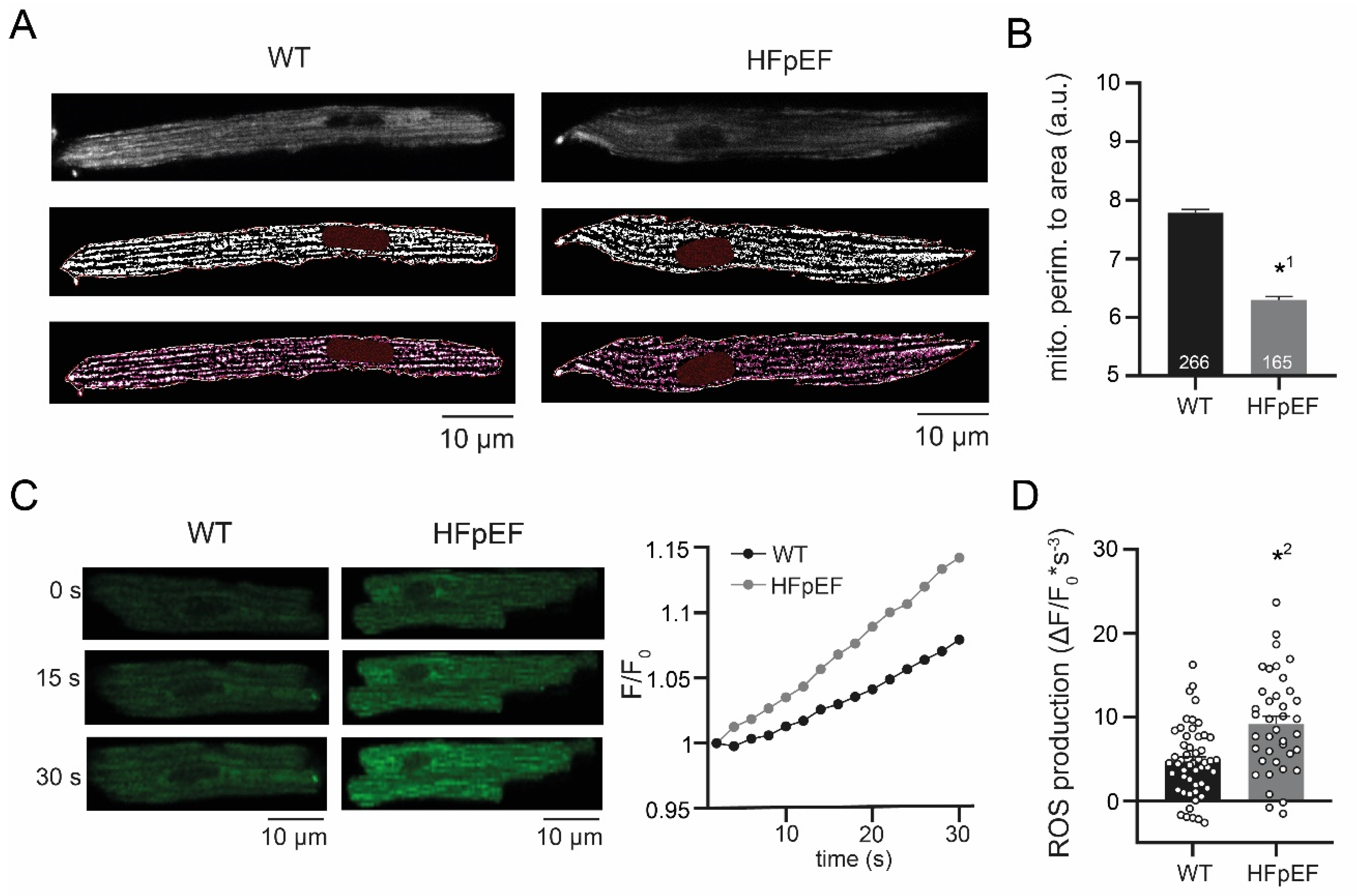 Antioxidants 09 00860 g002