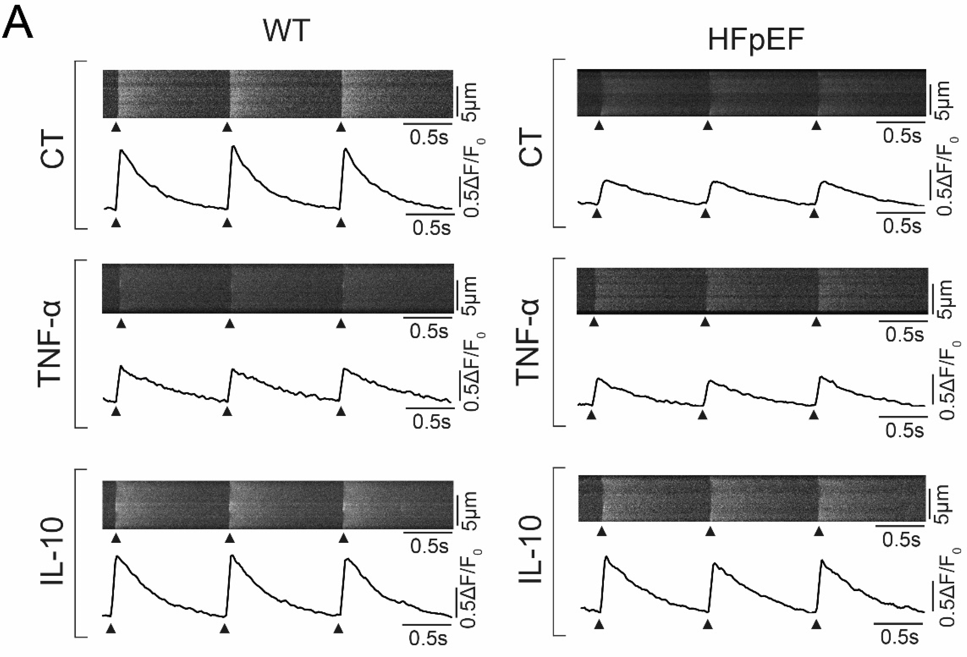 Antioxidants 09 00860 g003a