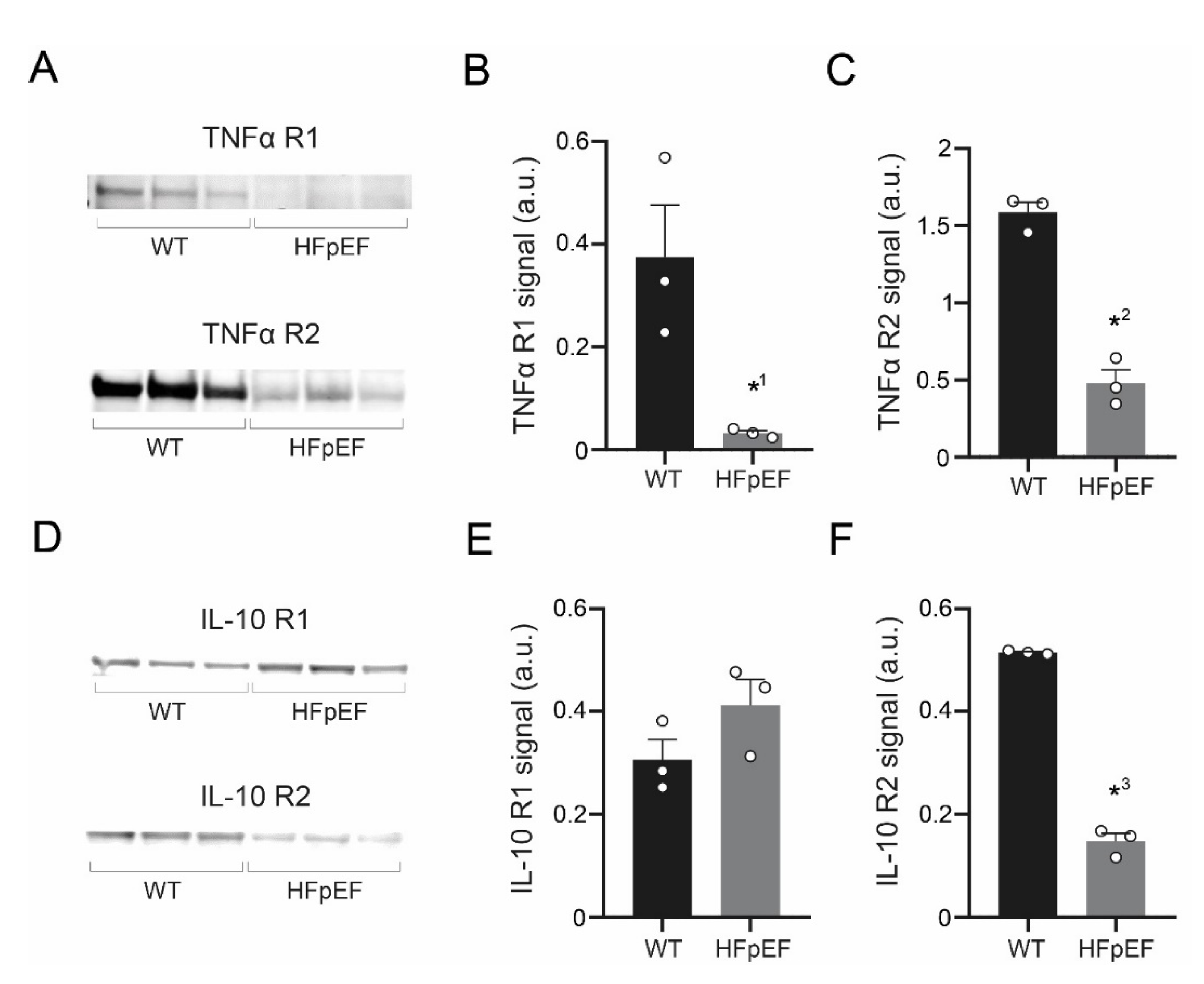 Antioxidants 09 00860 g005