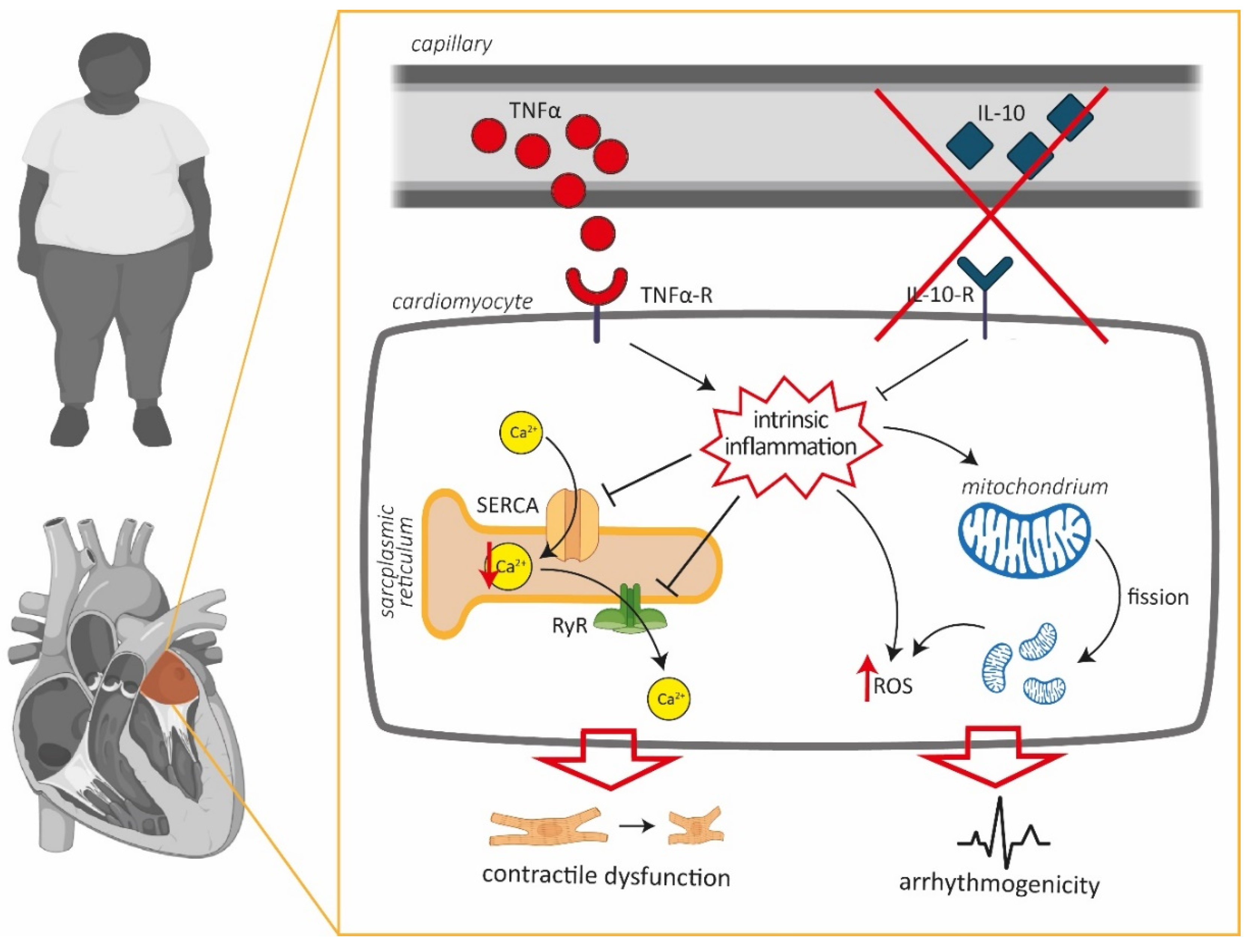Antioxidants 09 00860 g006