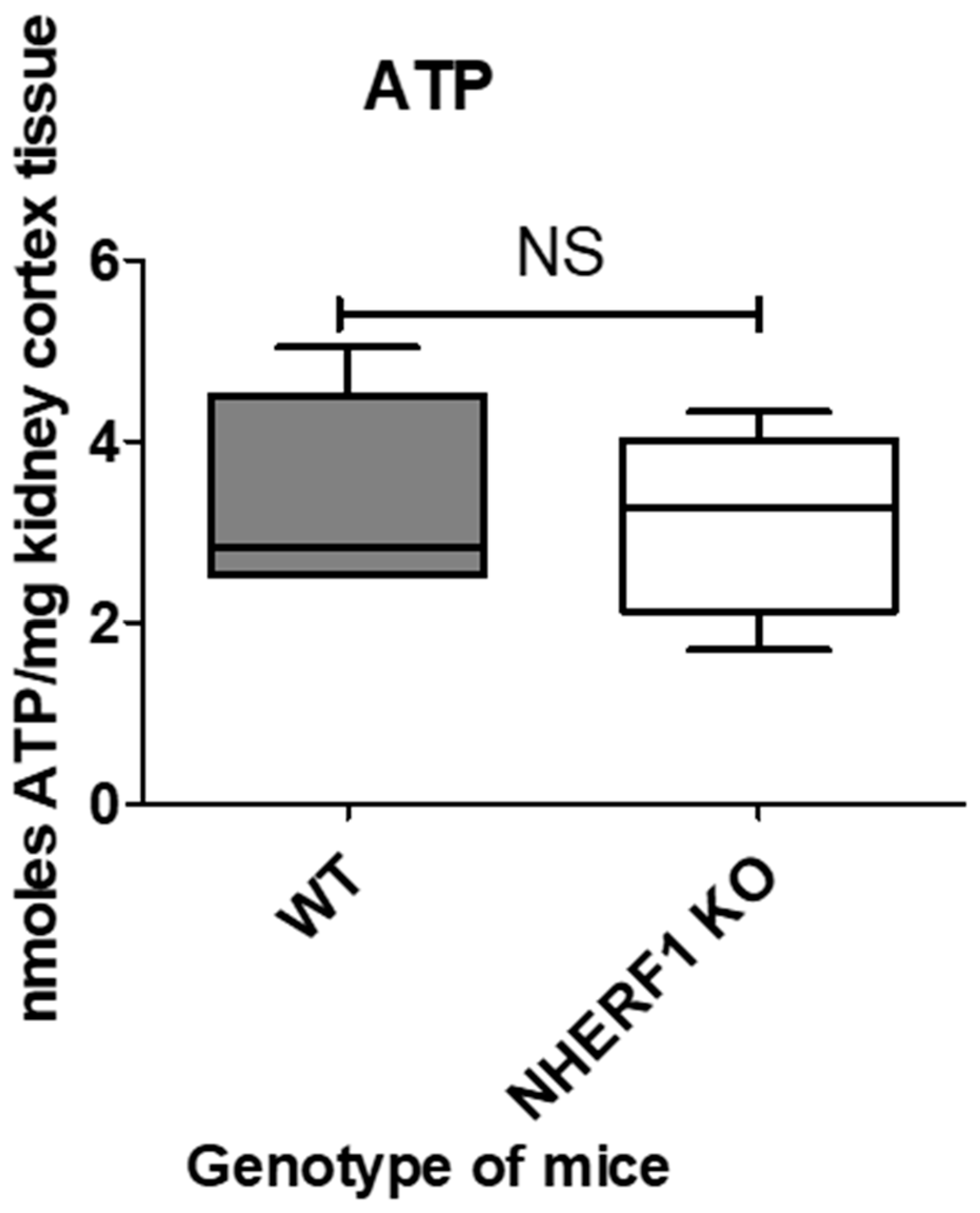 Antioxidants 09 00862 g004 Antioxidants 09 00862 g004