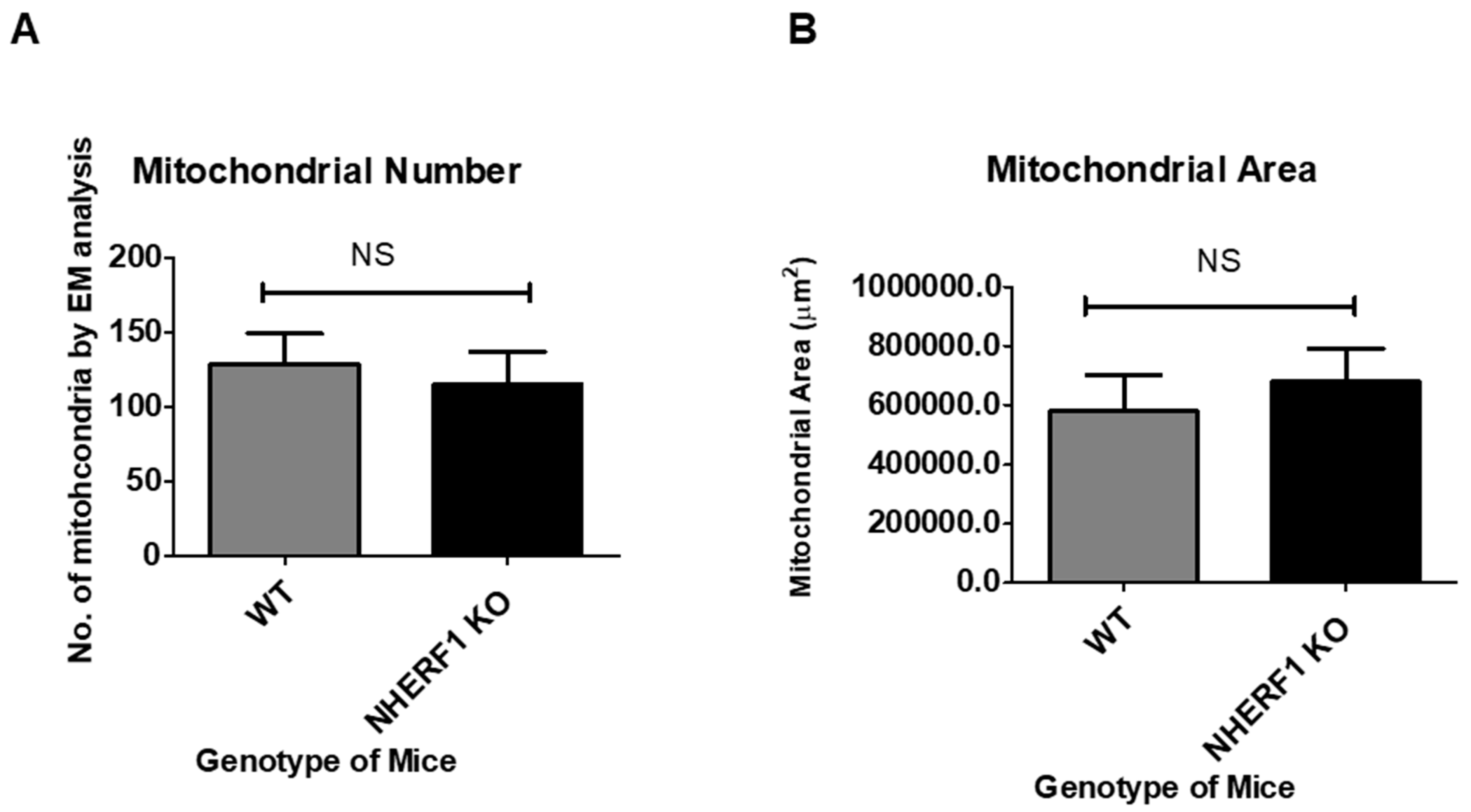 Antioxidants 09 00862 g006 Antioxidants 09 00862 g006