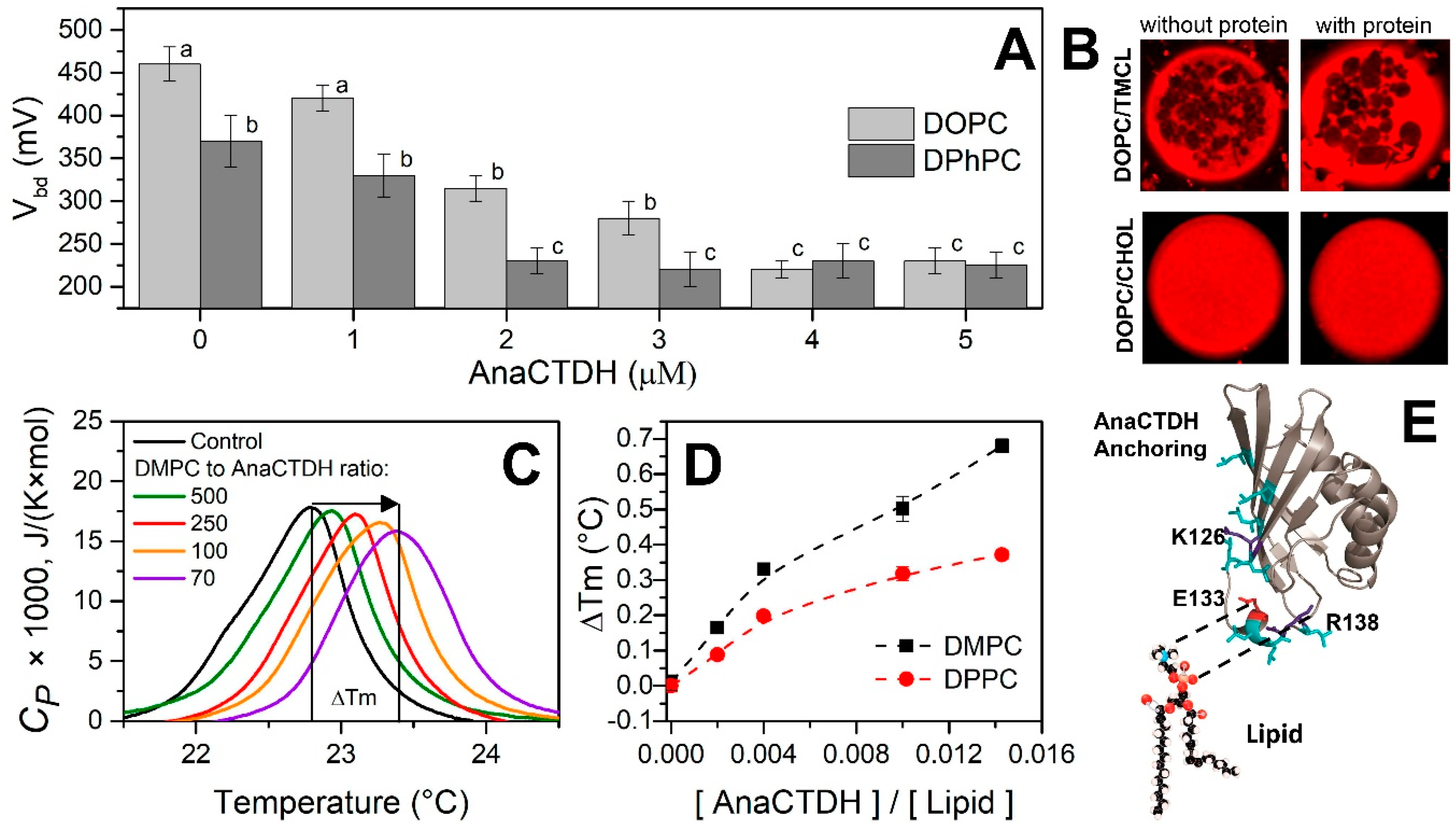 Antioxidants 09 00869 g001 Antioxidants 09 00869 g001