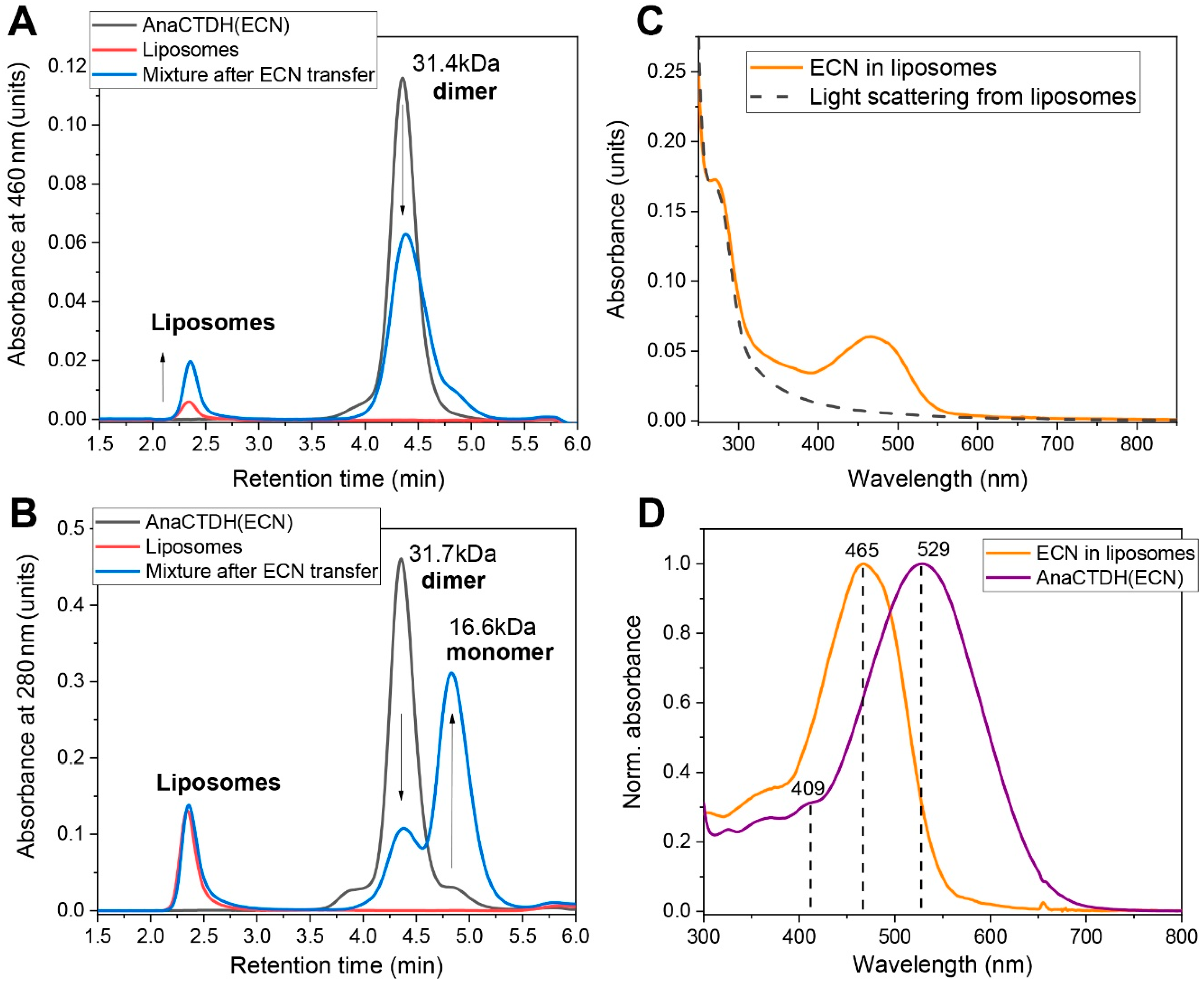 Antioxidants 09 00869 g004 Antioxidants 09 00869 g004