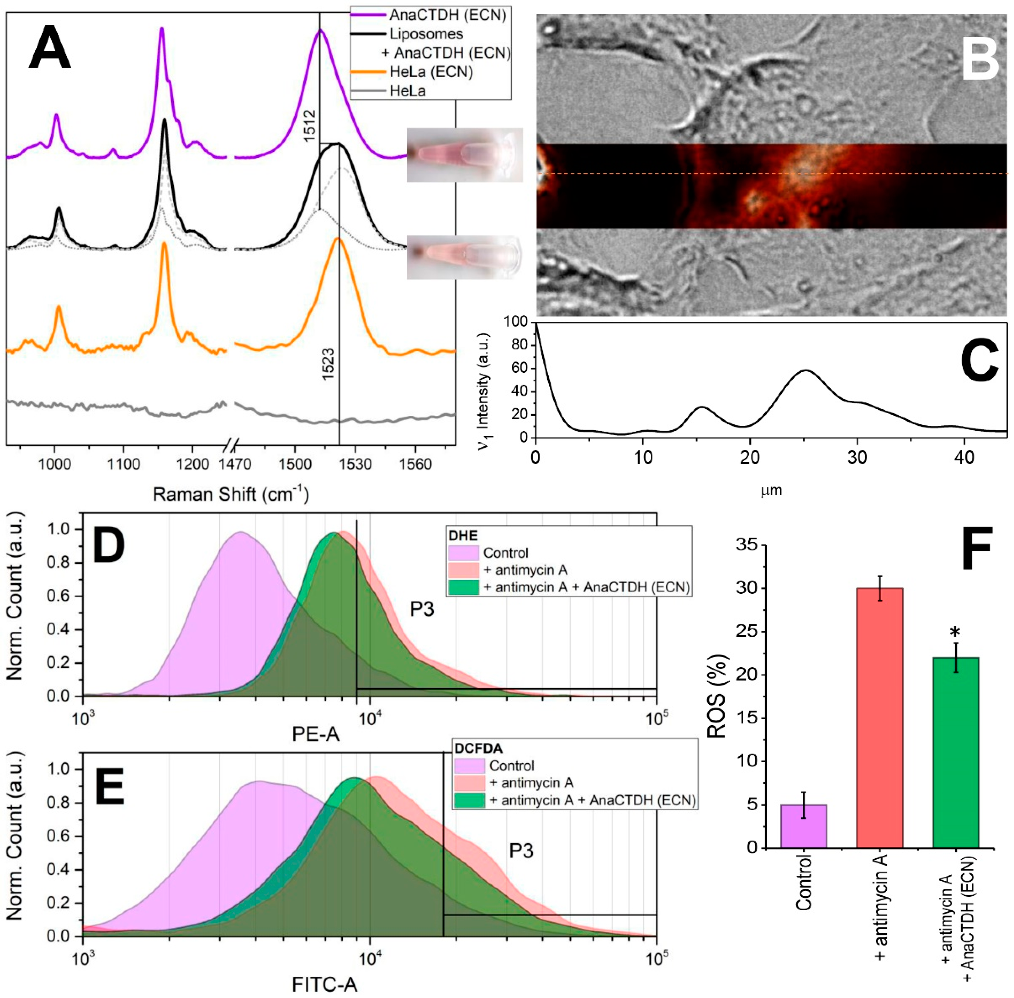 Antioxidants 09 00869 g005 Antioxidants 09 00869 g005