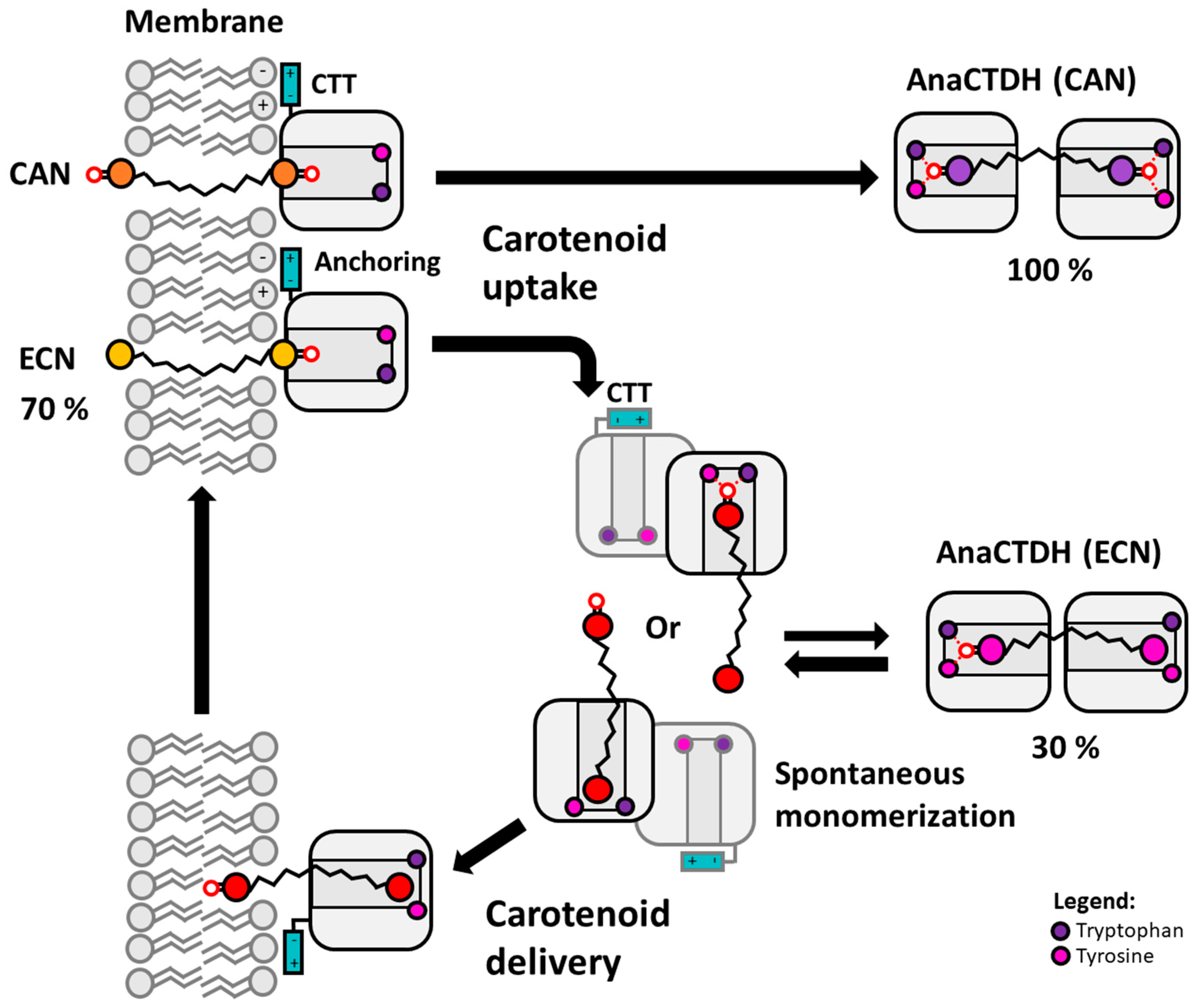 Antioxidants 09 00869 g006 Antioxidants 09 00869 g006