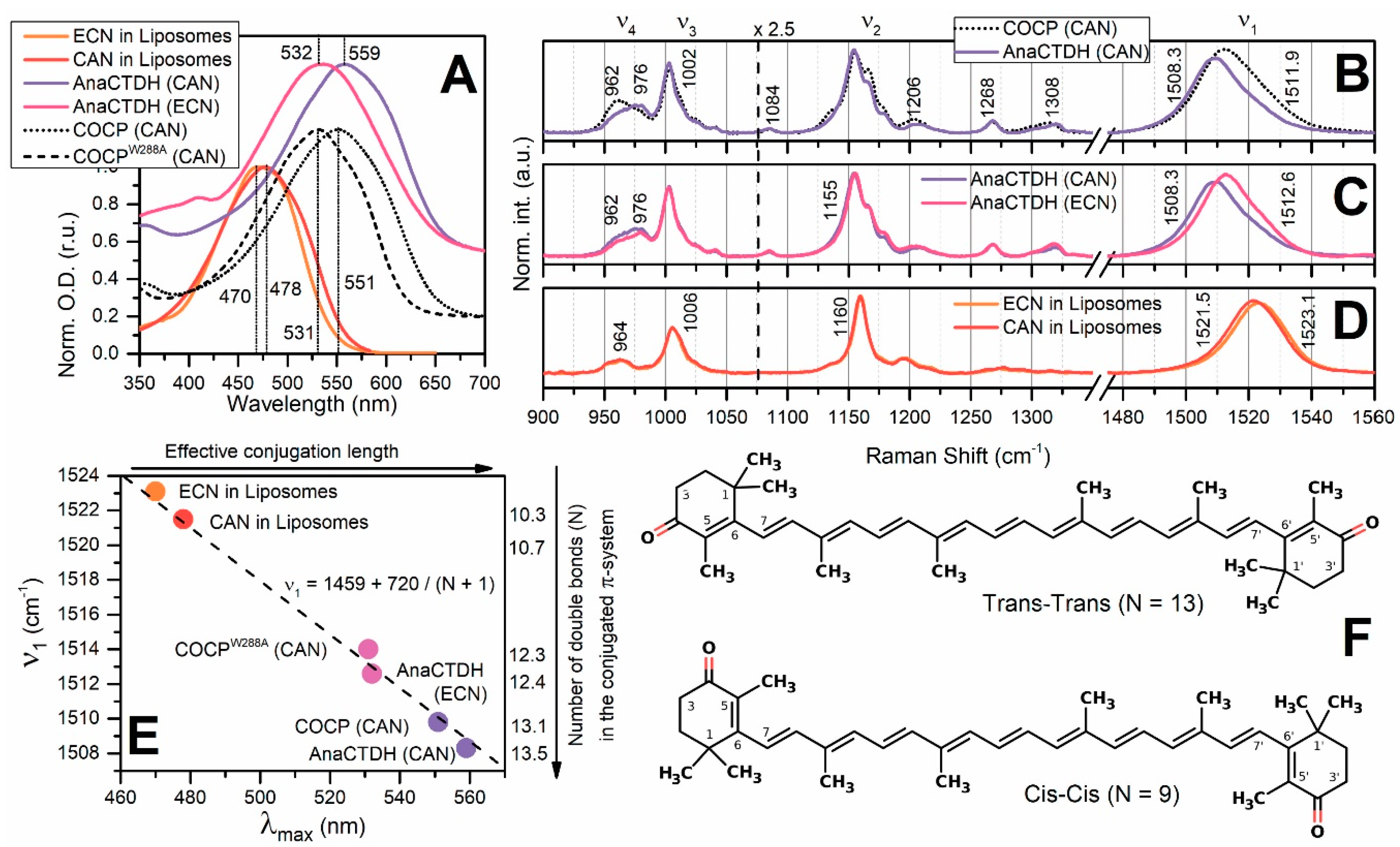 Antioxidants 09 00869 g0a1 Antioxidants 09 00869 g0a1