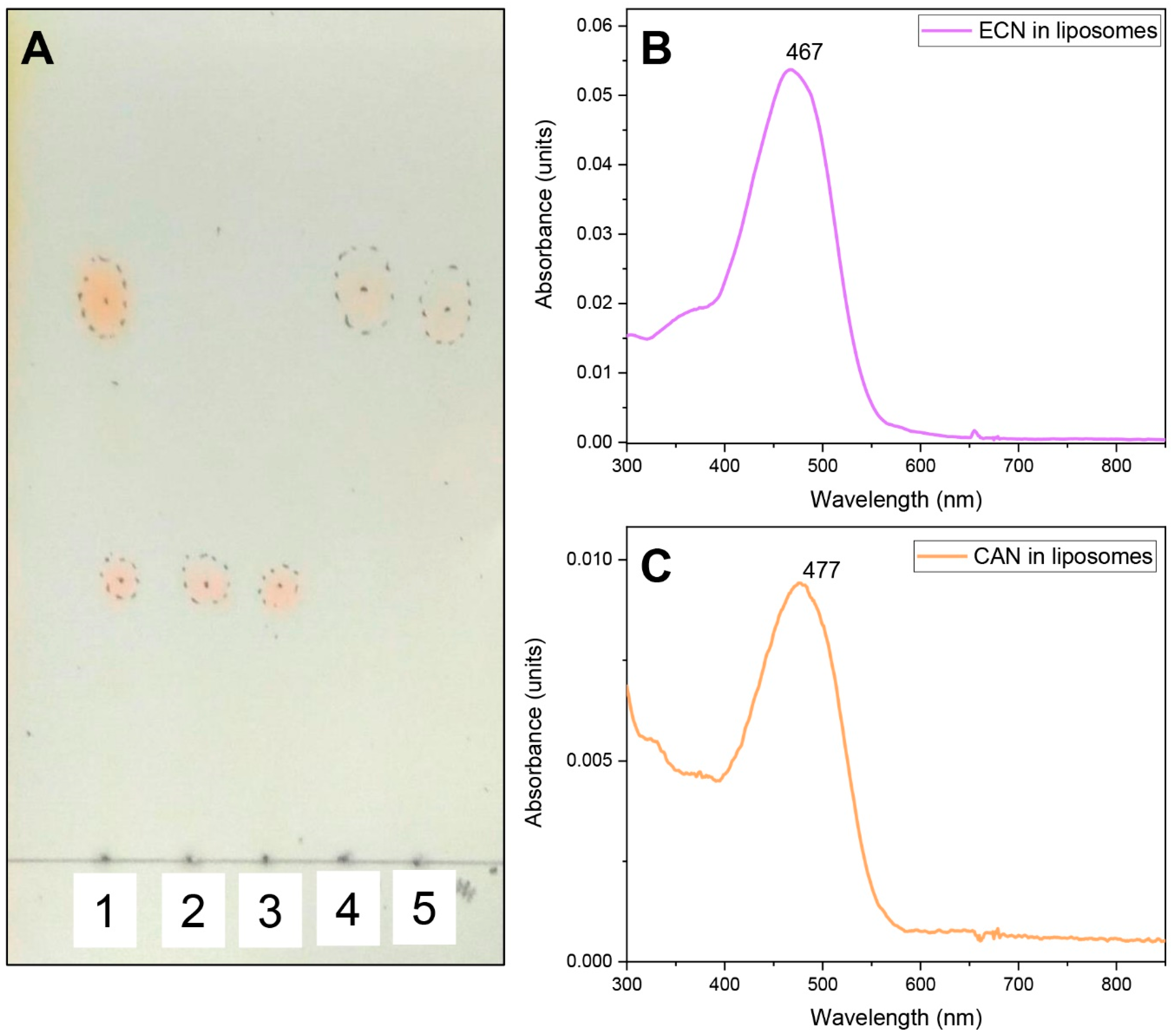 Antioxidants 09 00869 g0a2 Antioxidants 09 00869 g0a2
