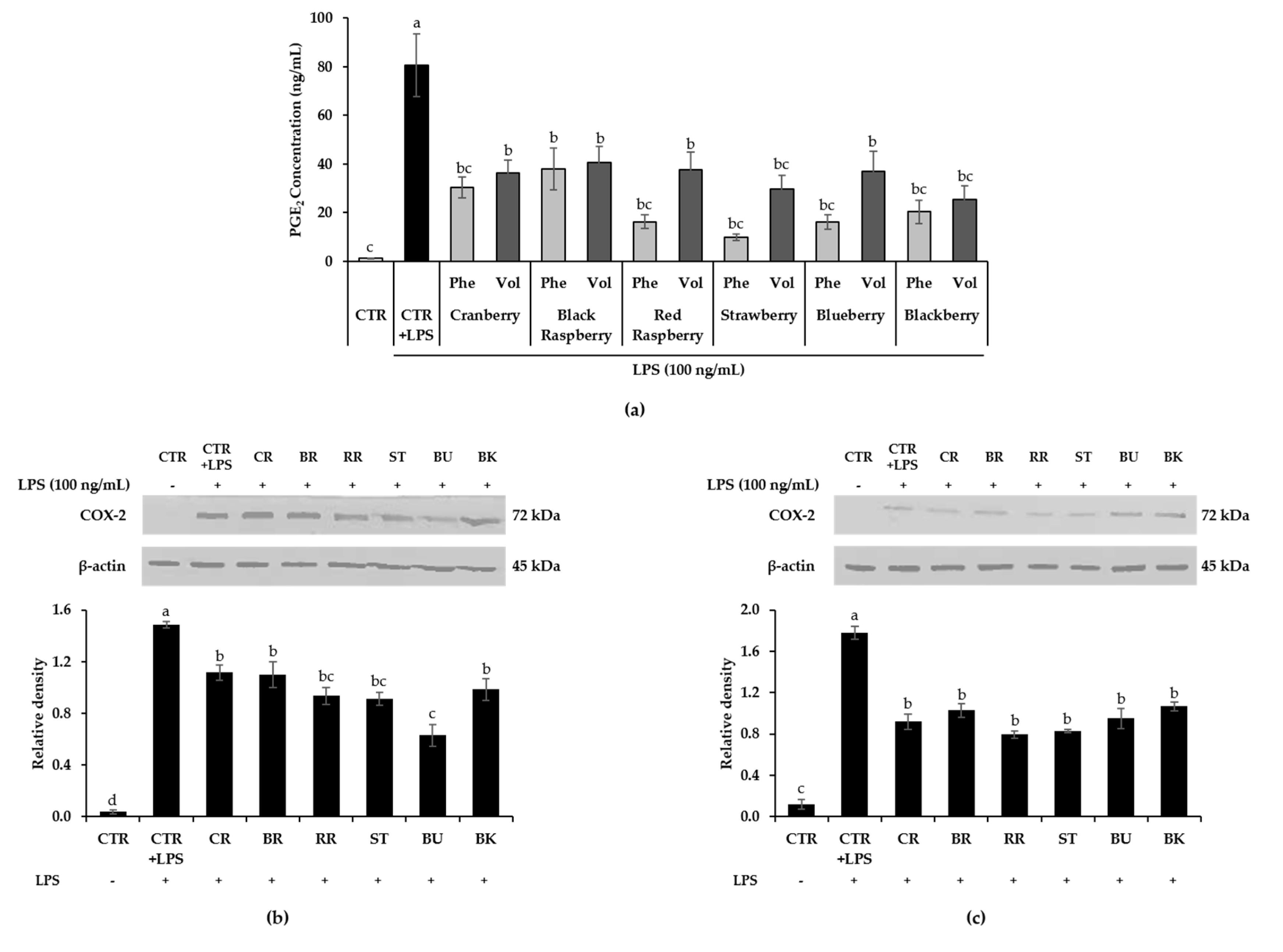 Antioxidants 09 00871 g003