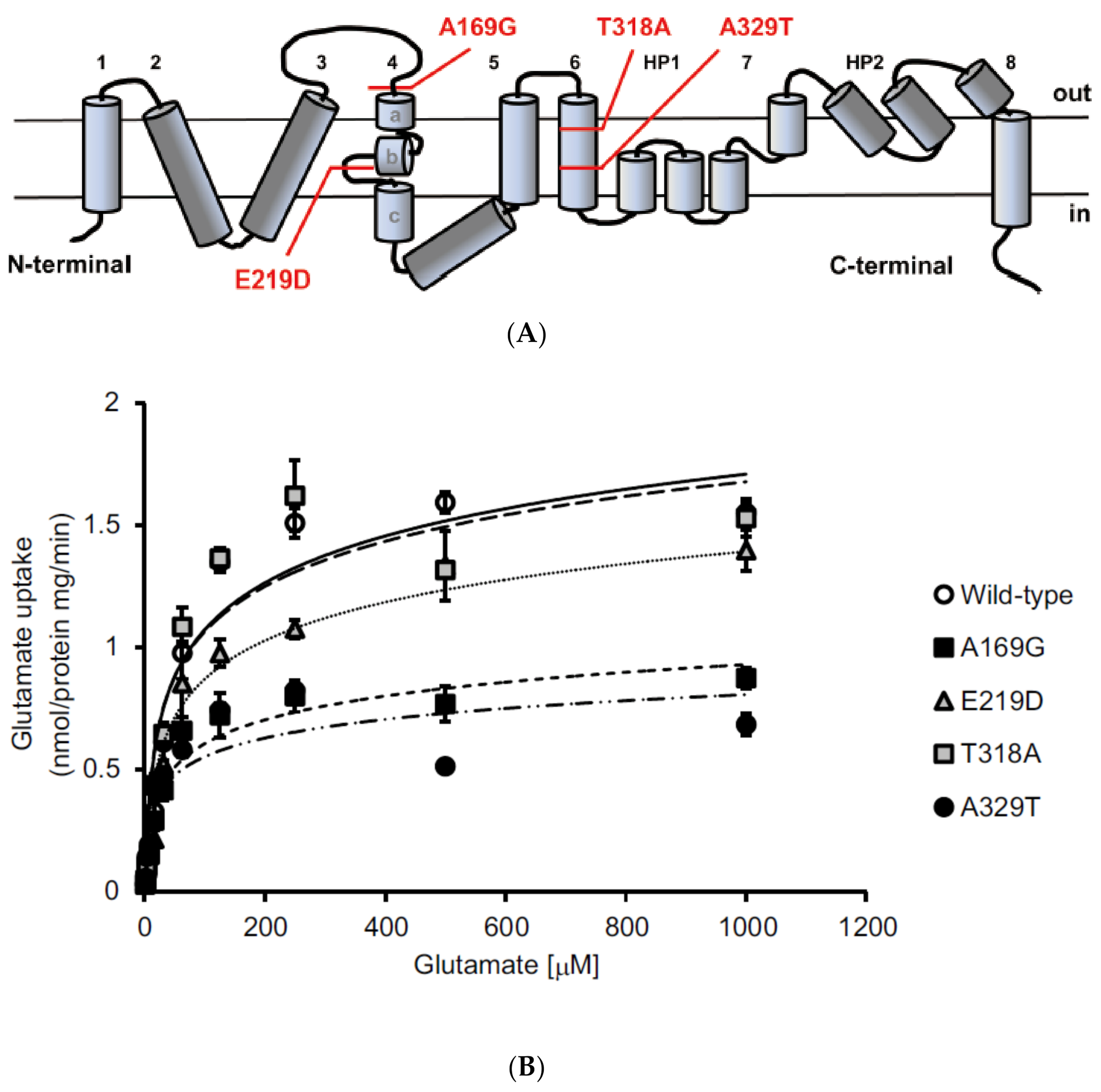 Antioxidants 09 00874 g001
