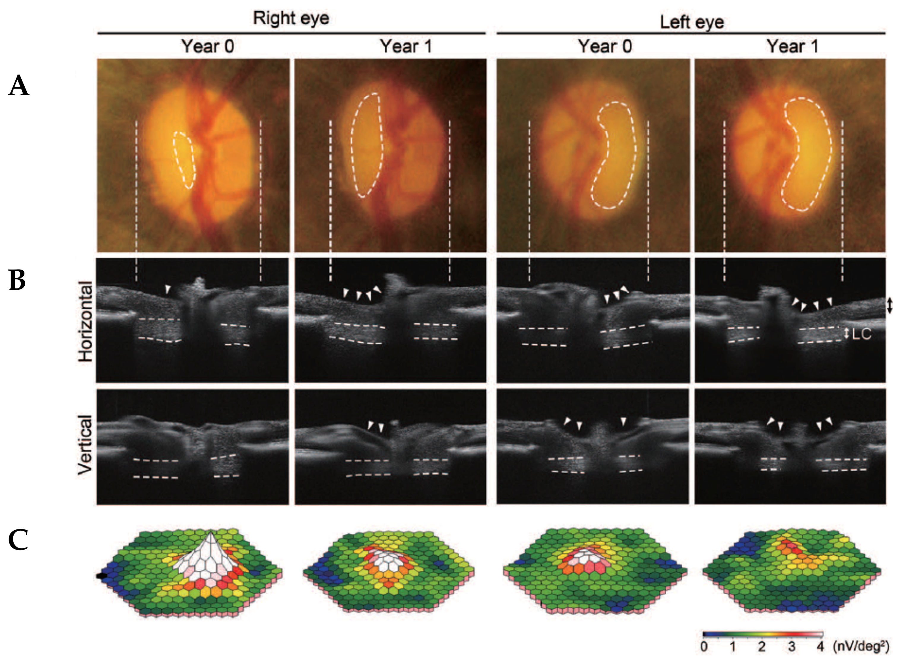 Antioxidants 09 00874 g002