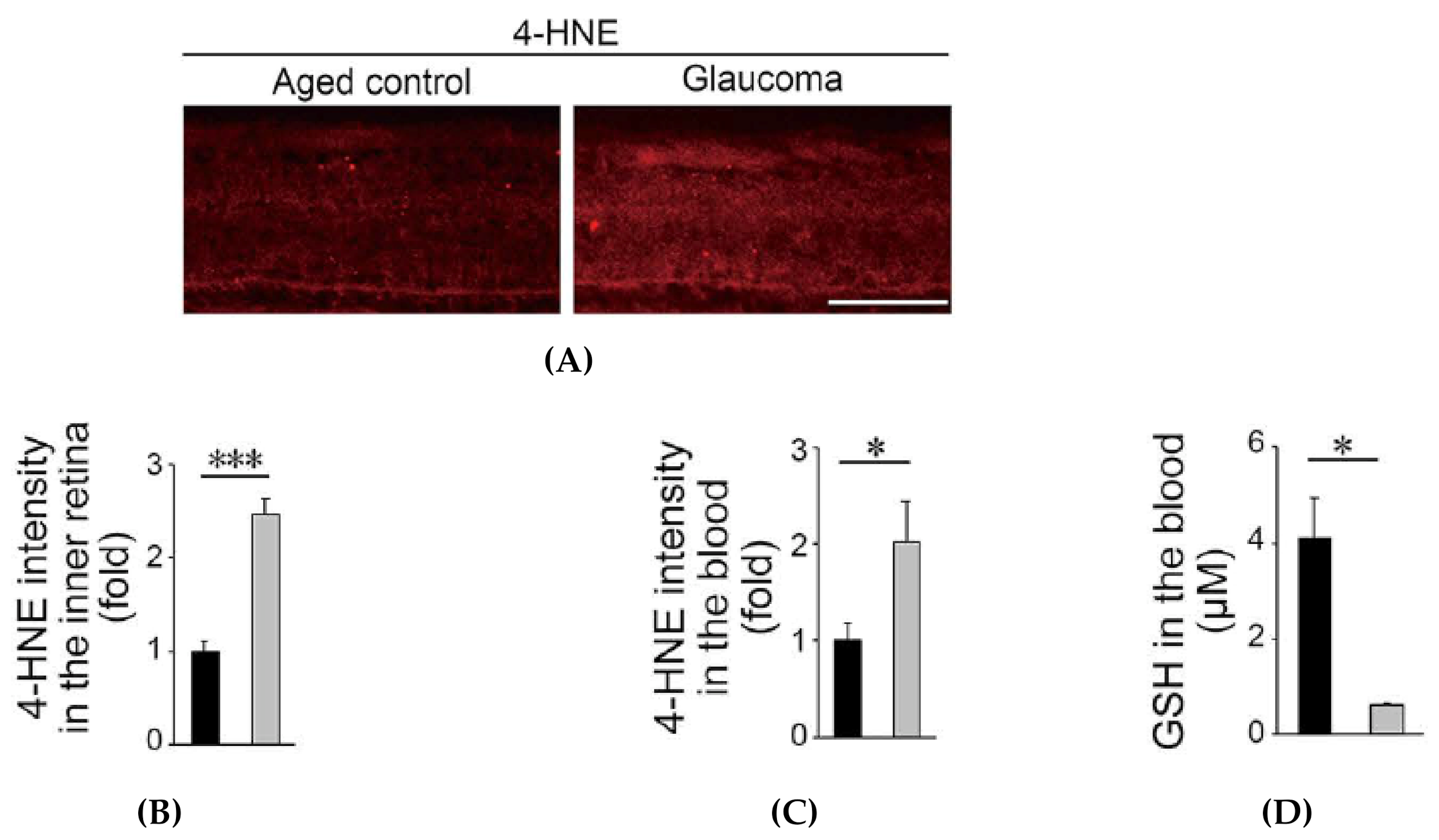 Antioxidants 09 00874 g003