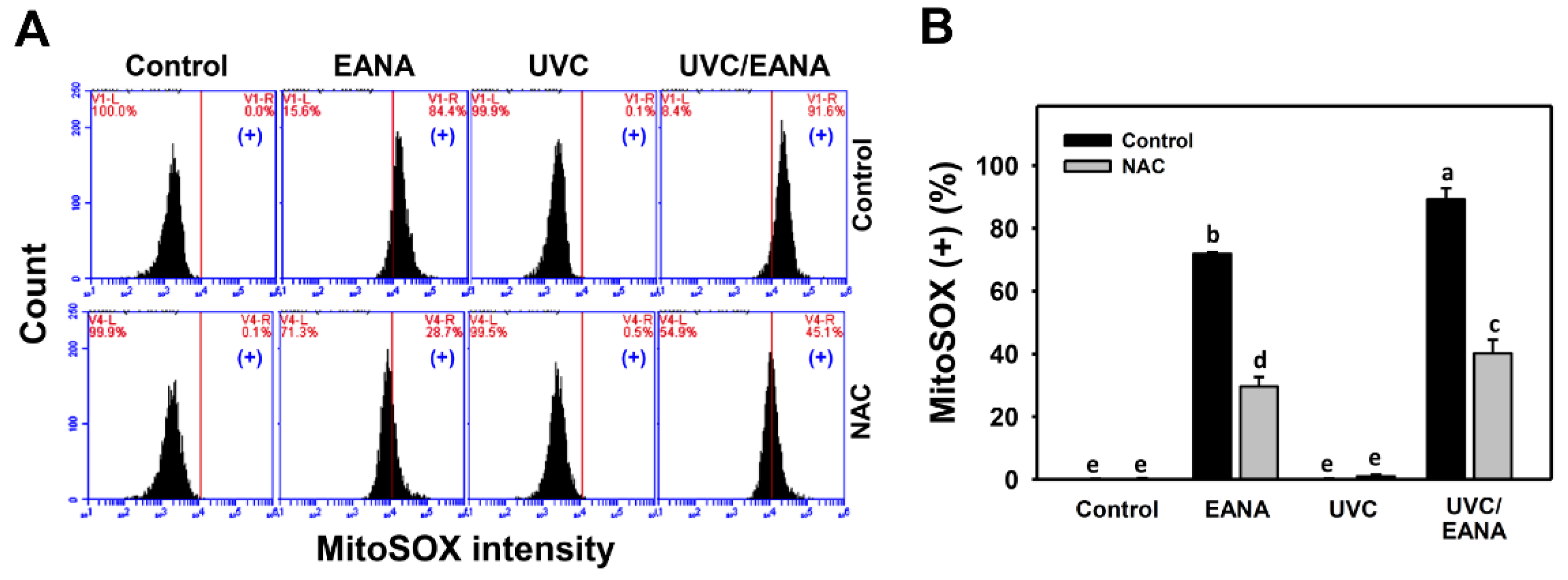 Antioxidants Free FullText Combined Treatment with Low Cytotoxic Ethyl Acetate Nepenthes