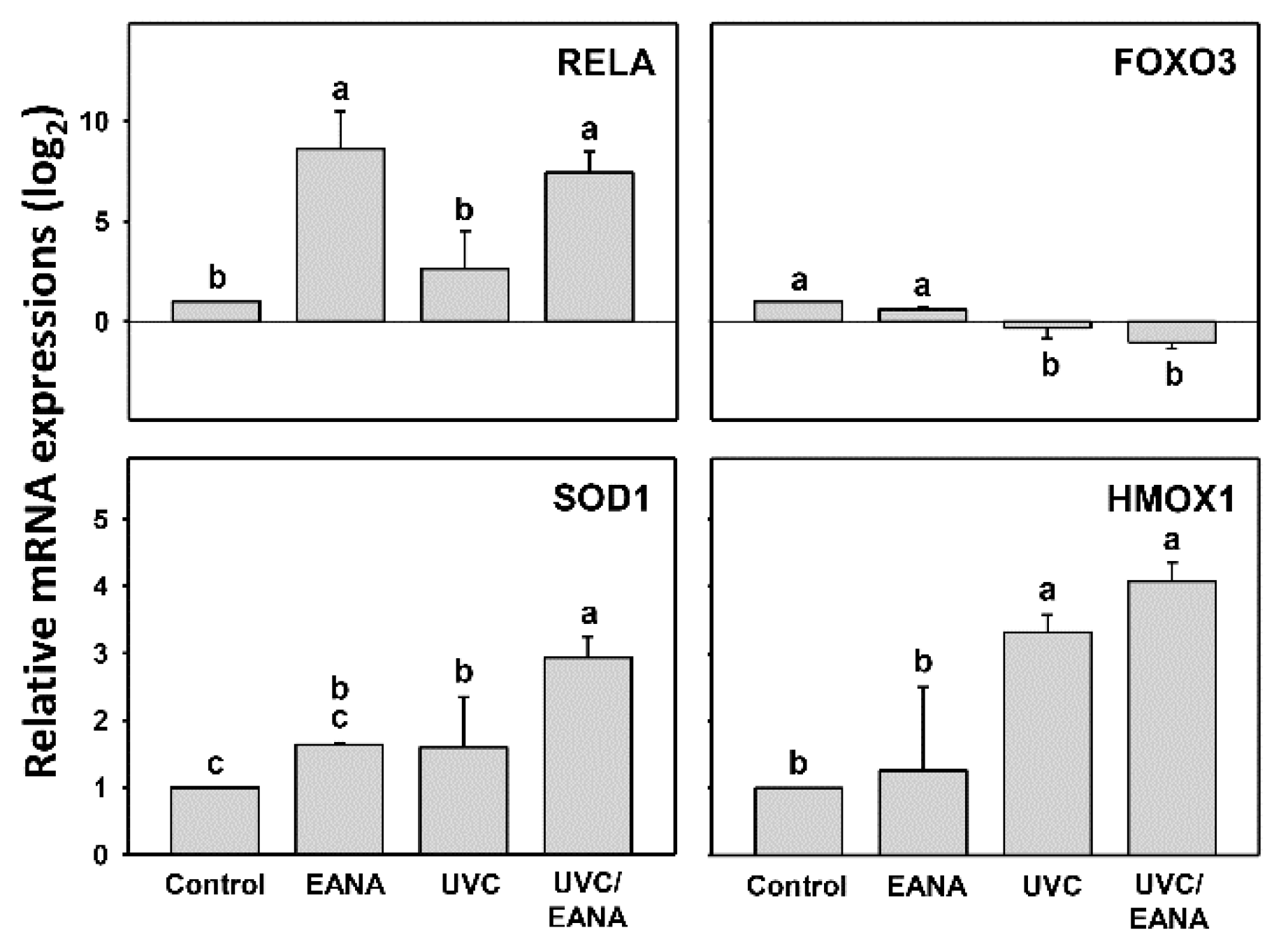 Antioxidants Free FullText Combined Treatment with Low Cytotoxic Ethyl Acetate Nepenthes