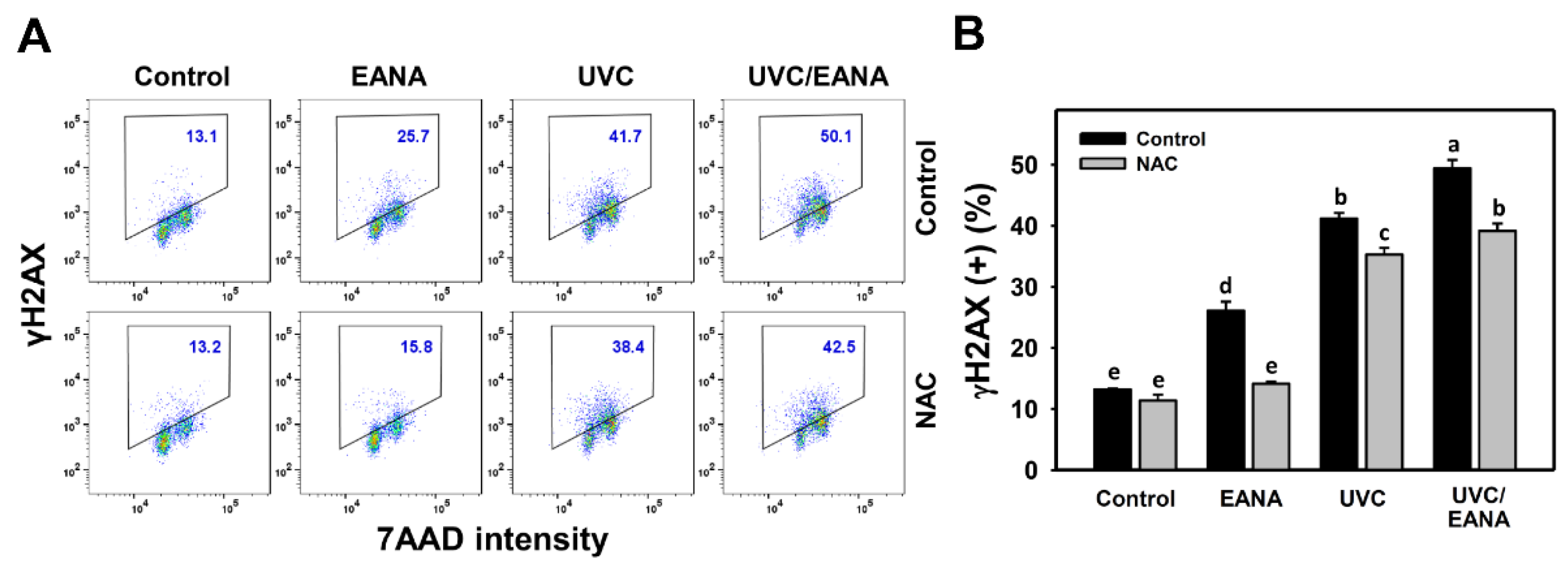 Antioxidants Free FullText Combined Treatment with Low Cytotoxic Ethyl Acetate Nepenthes